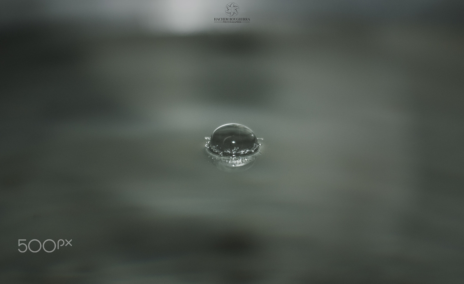 Sigma 18-50mm F2.8-4.5 DC OS HSM sample photo. Drop water photography