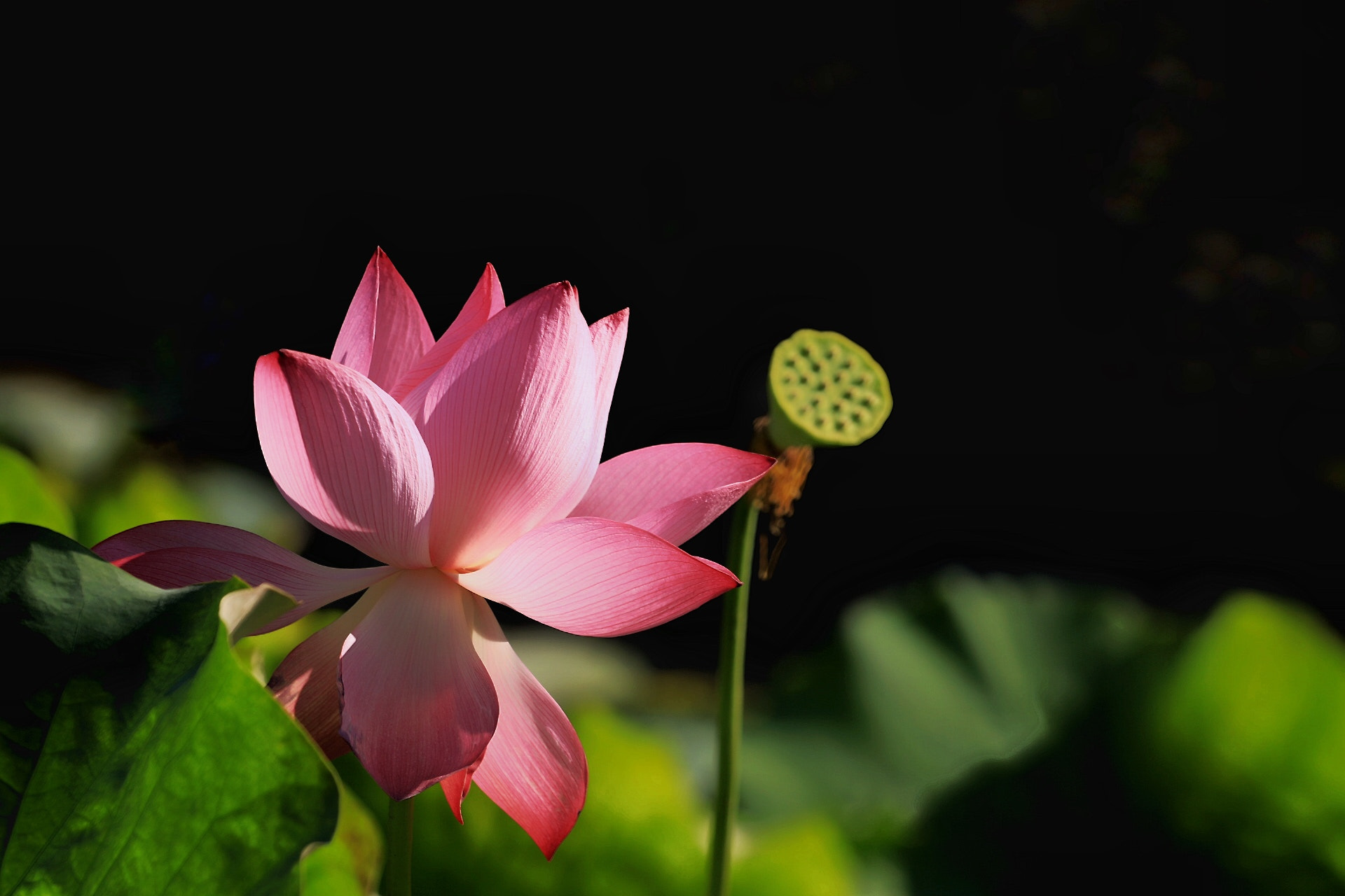 Canon EF 70-200mm F4L USM sample photo