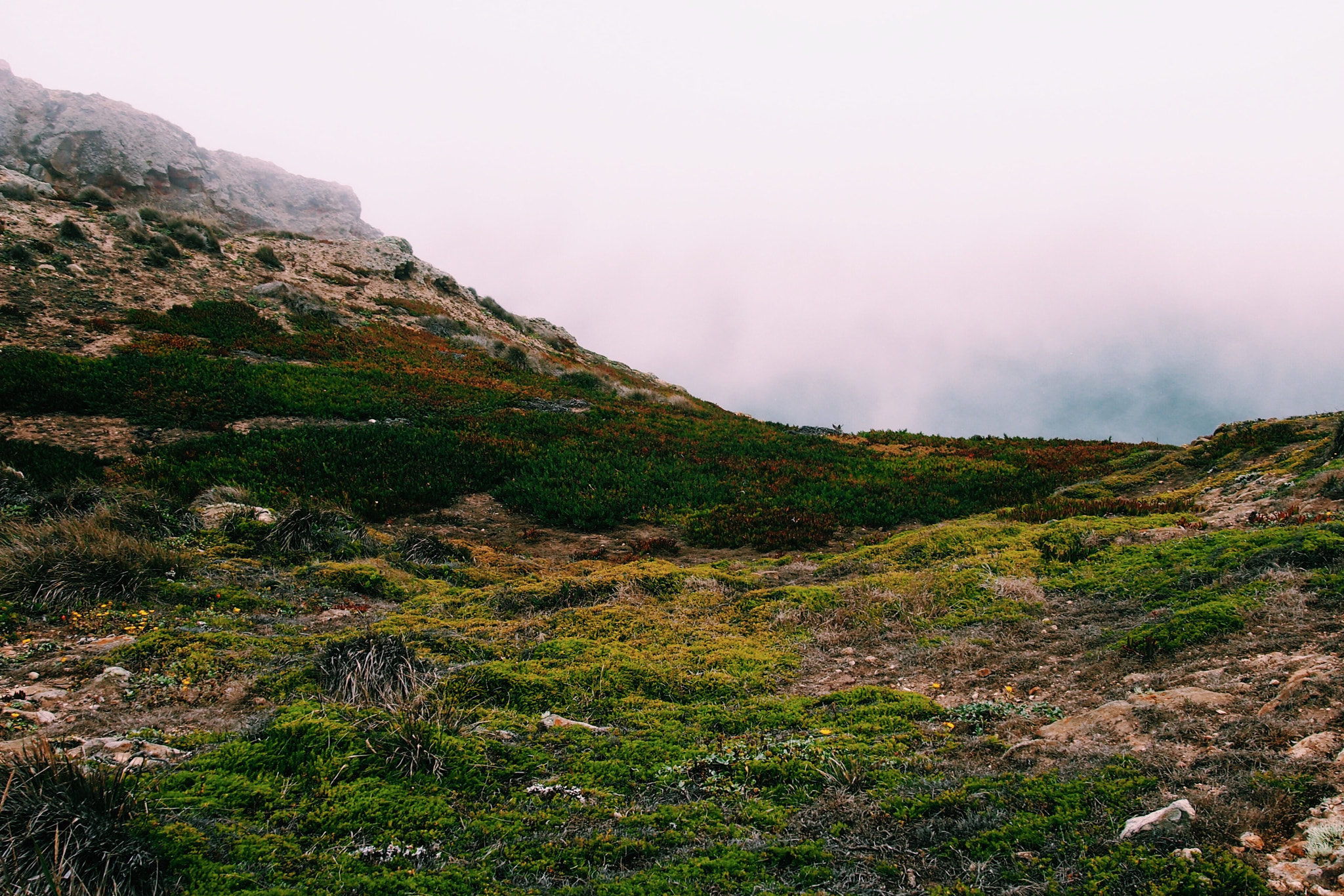 Olympus PEN E-PM1 sample photo. Exploring point reyes - ca photography