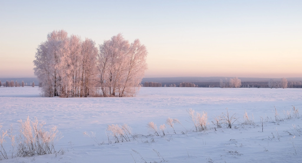 Paints winter evening by Александр Лещёнок on 500px.com