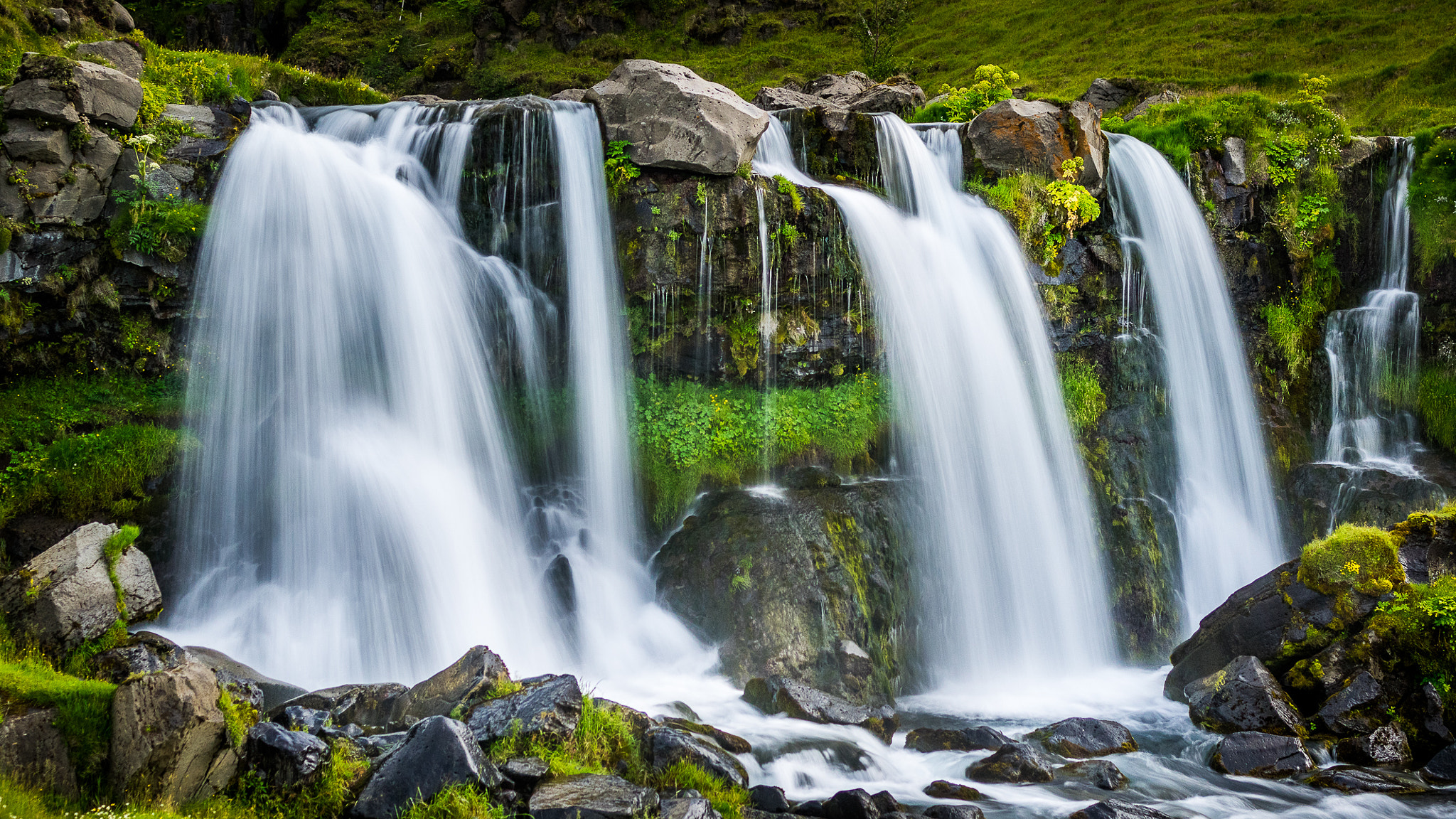 Pentax smc FA 31mm F1.8 AL Limited sample photo. Iceland | freshness photography