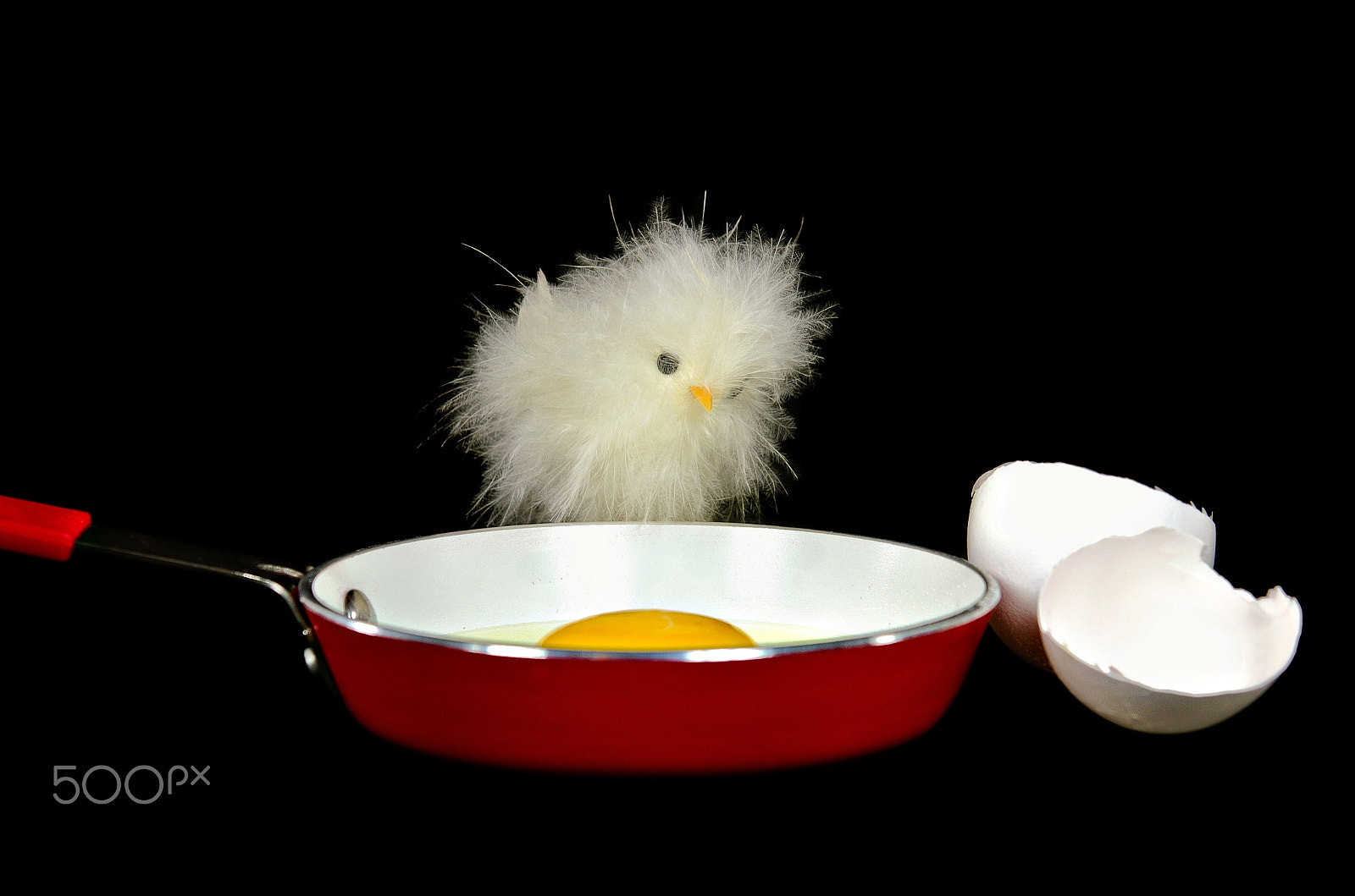 Nikon AF-S Micro-Nikkor 60mm F2.8G ED sample photo. Chick with egg in pan photography