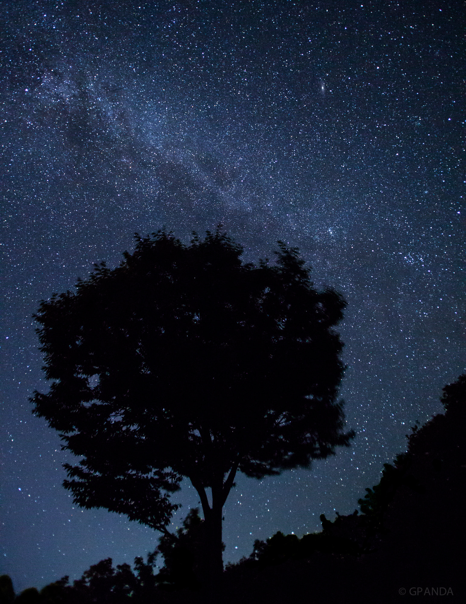 Canon EOS 5D Mark II + Tamron SP AF 17-35mm F2.8-4 Di LD Aspherical (IF) sample photo. A tree under the starry sky photography