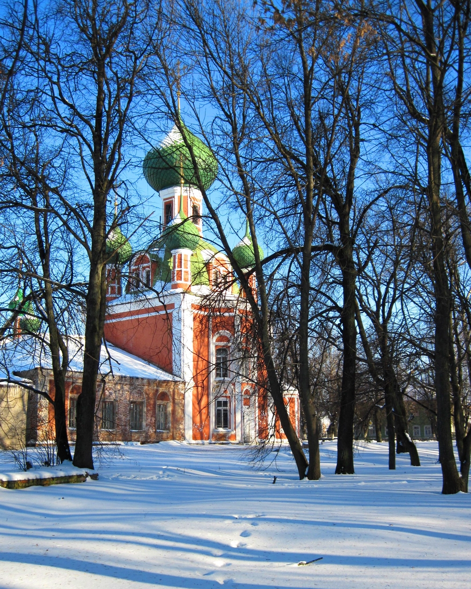 Canon PowerShot A1100 IS sample photo. Frosty morning. Морозное утро. photography