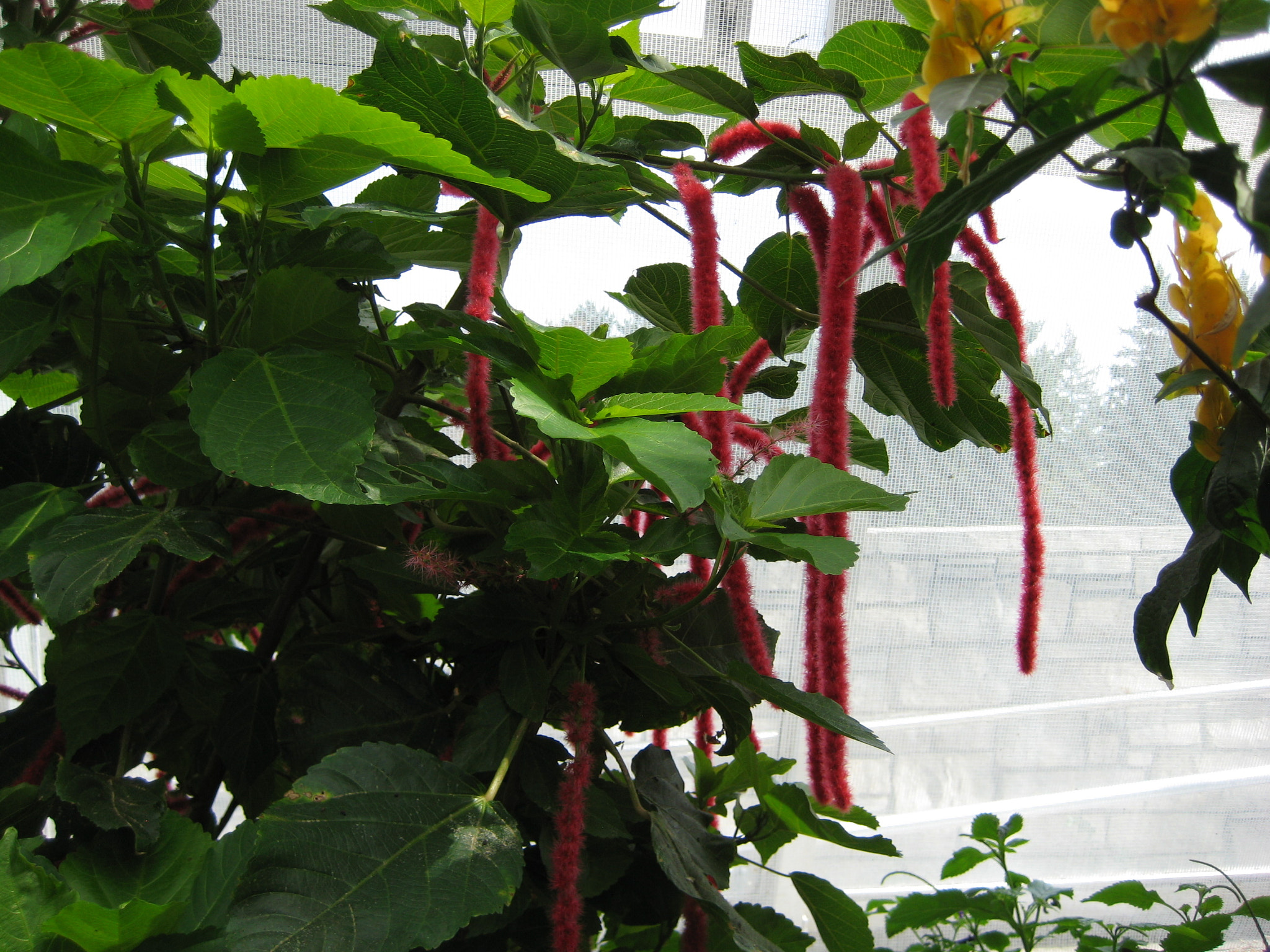 Canon POWERSHOT SD750 sample photo. Img photography