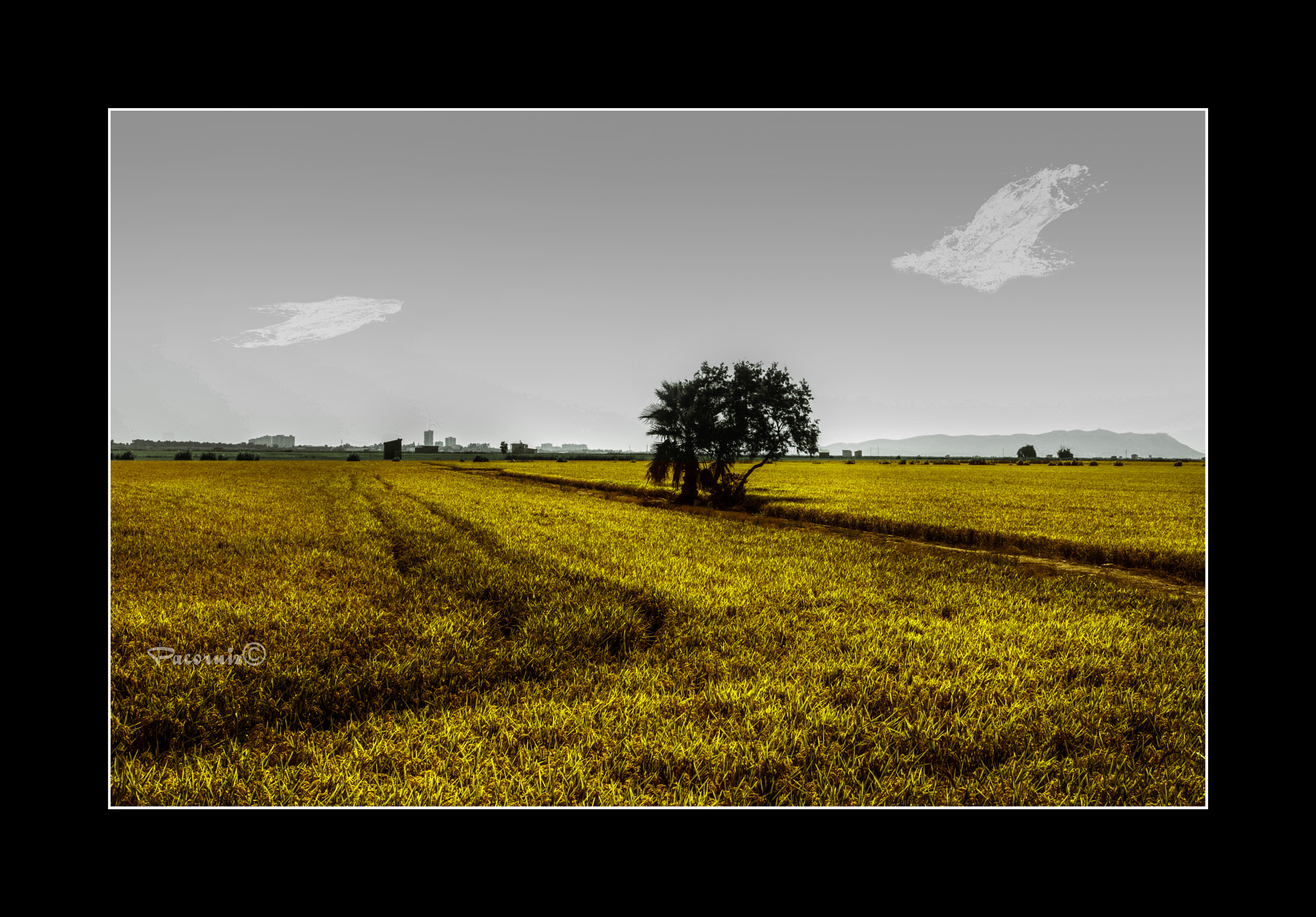 Nikon AF-S Nikkor 14-24mm F2.8G ED sample photo. (siega) photography