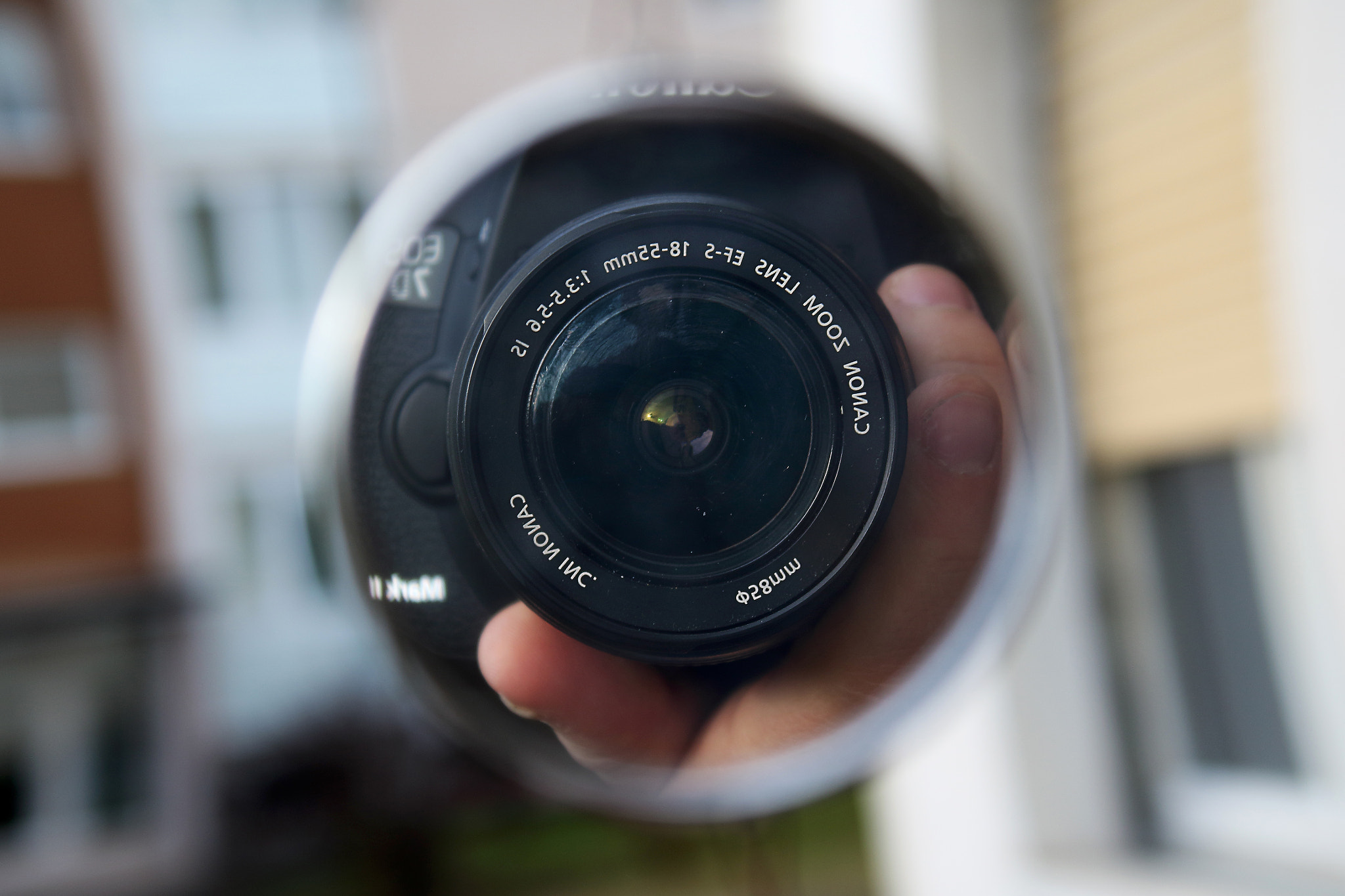 Canon EF-S 18-55mm F3.5-5.6 IS sample photo. L'occhio del regista photography