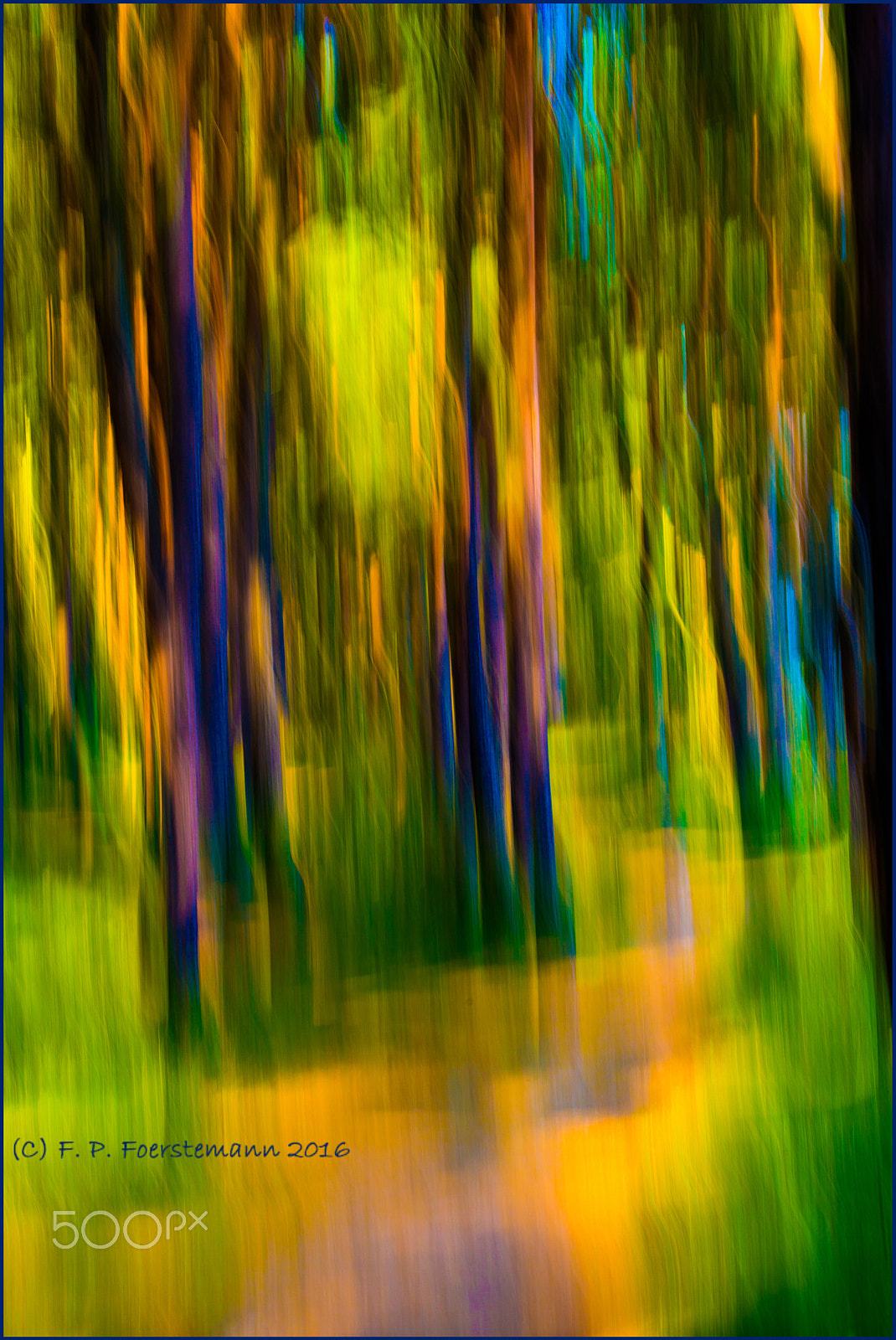 Sony a99 II + 105mm F2.8 sample photo. Sandy path in a pine forest photography