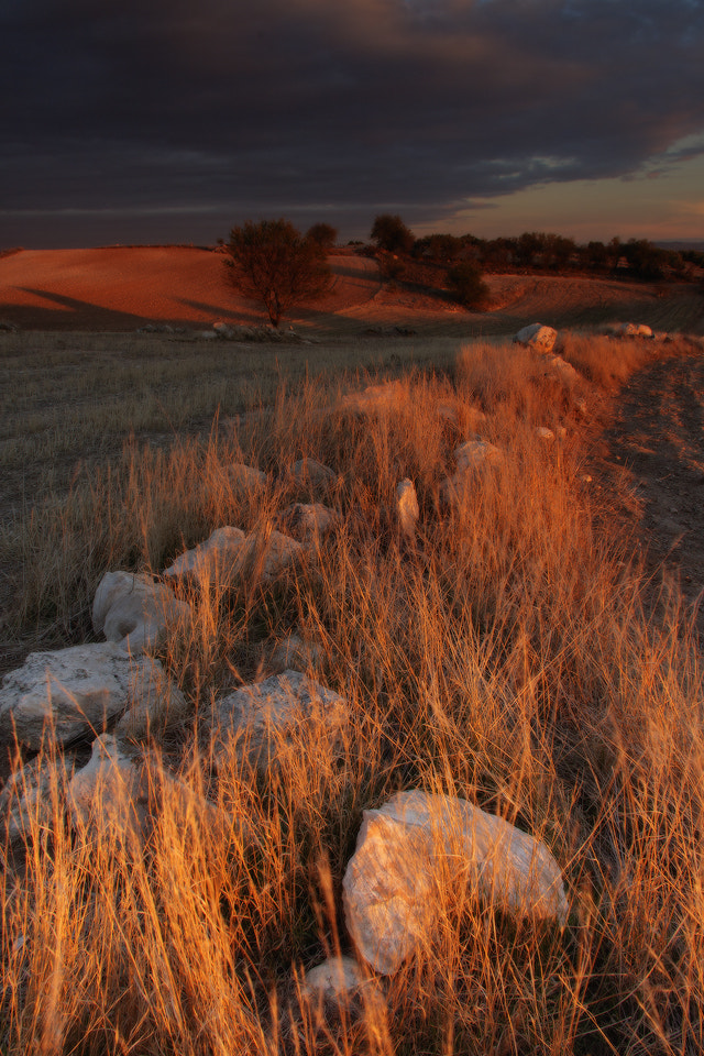 Sigma 18-125mm F3.8-5.6 DC OS HSM sample photo. La luz photography