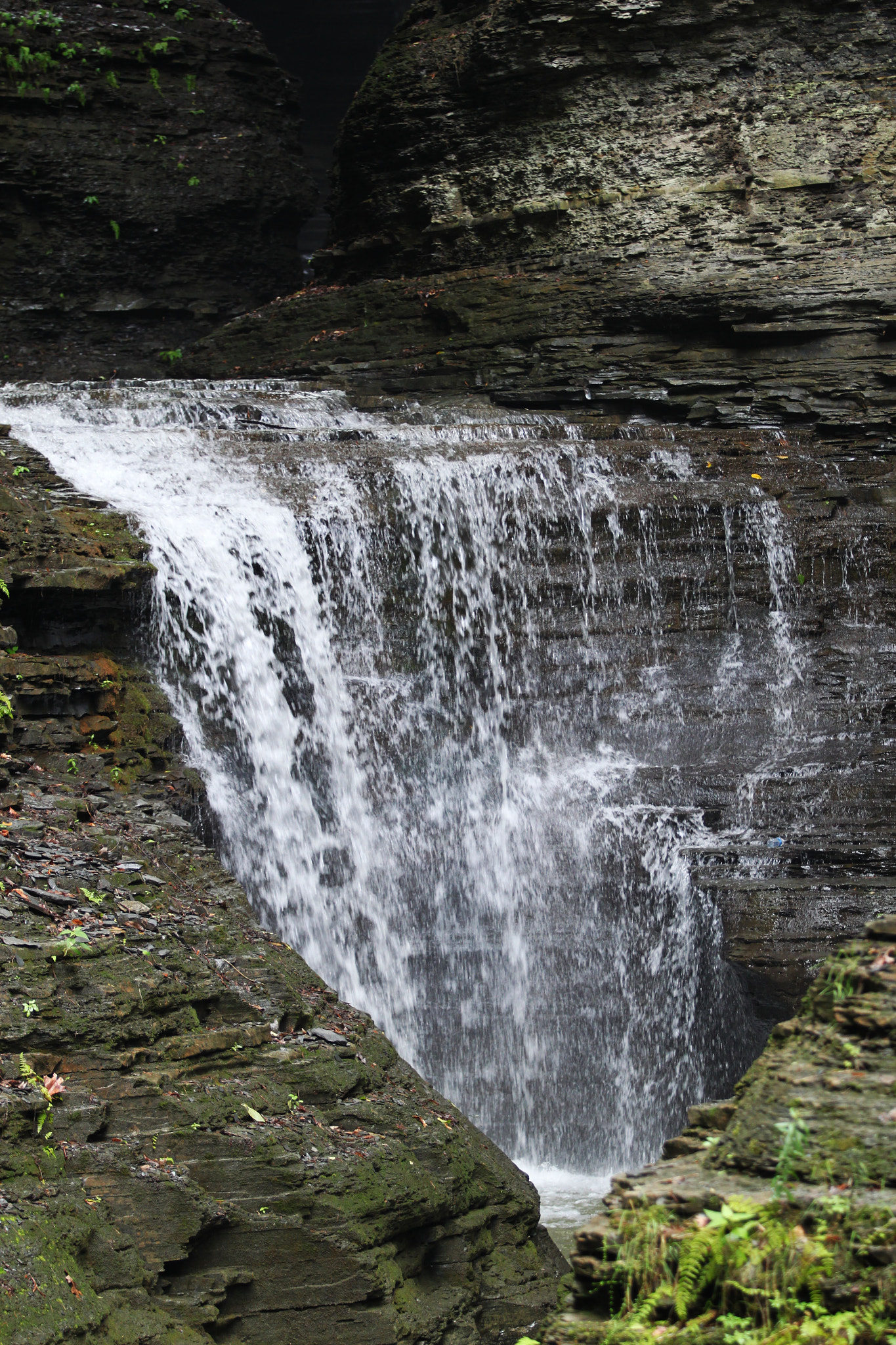 Canon EF 70-200mm F2.8L USM sample photo. Img photography