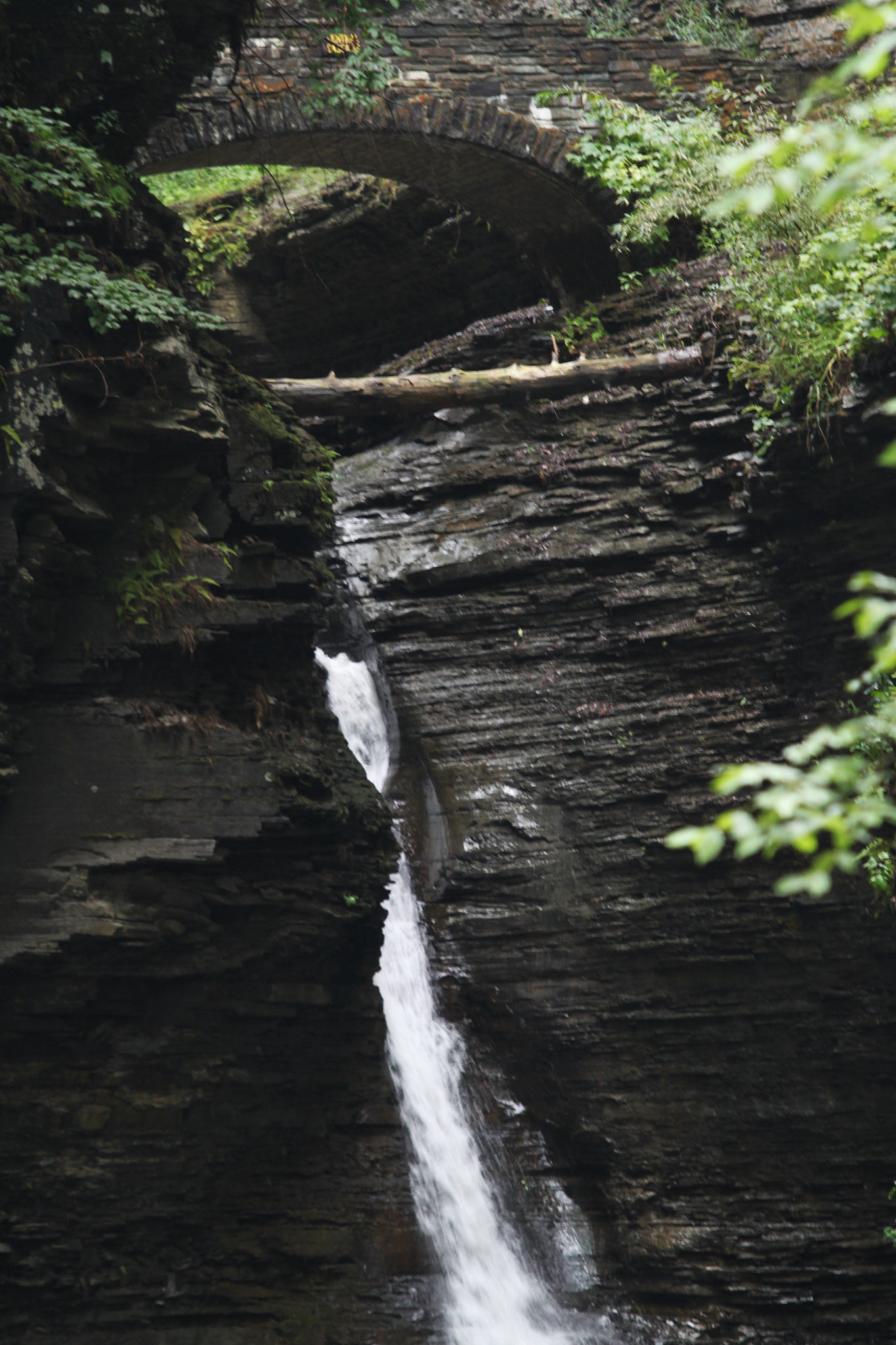 Canon EF 70-200mm F2.8L USM sample photo. Img photography