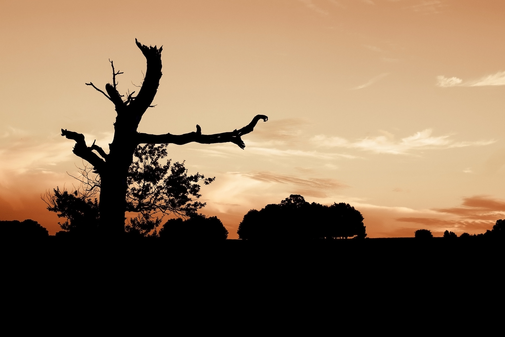 Panasonic Lumix DMC-GF6 + Sigma 30mm F2.8 DN Art sample photo. Silhouette photography