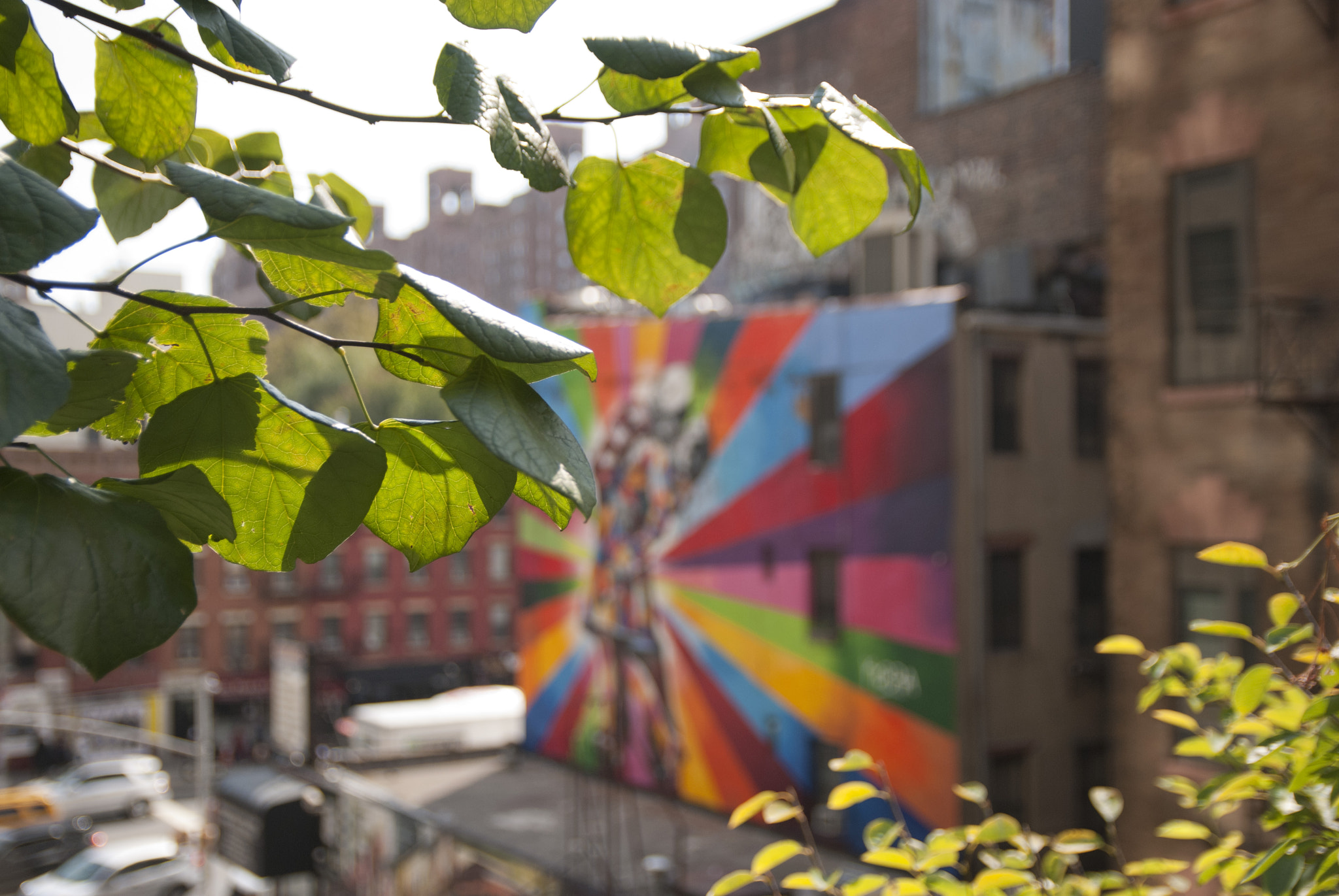 Sigma 17-50mm F2.8 EX DC OS HSM sample photo. Art in chelsea photography