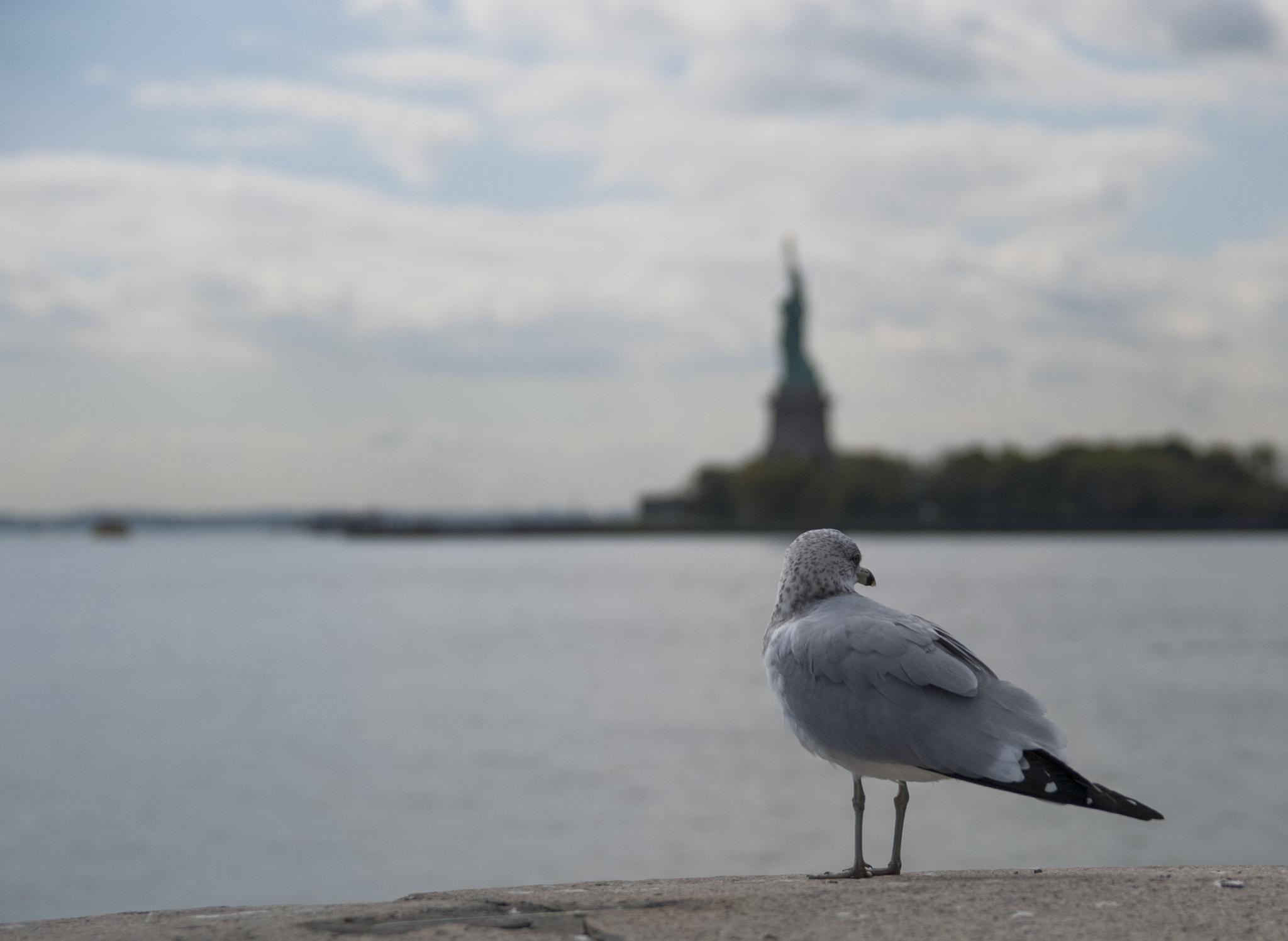 Sigma 17-50mm F2.8 EX DC OS HSM sample photo. Liberty photography