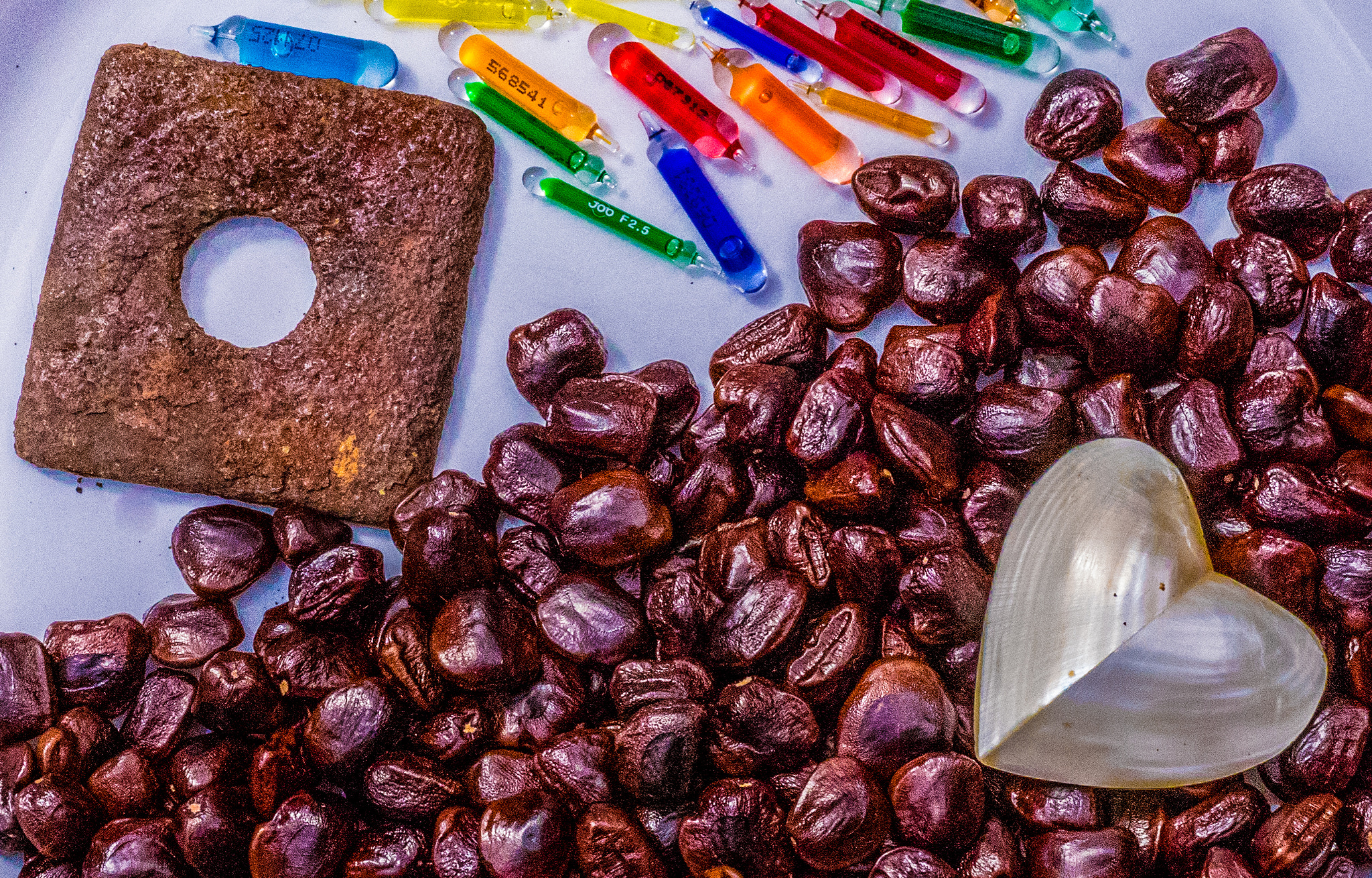 Panasonic Lumix DMC-GM1 sample photo. Still life - tamarind, heart, sprinkler bulbs photography