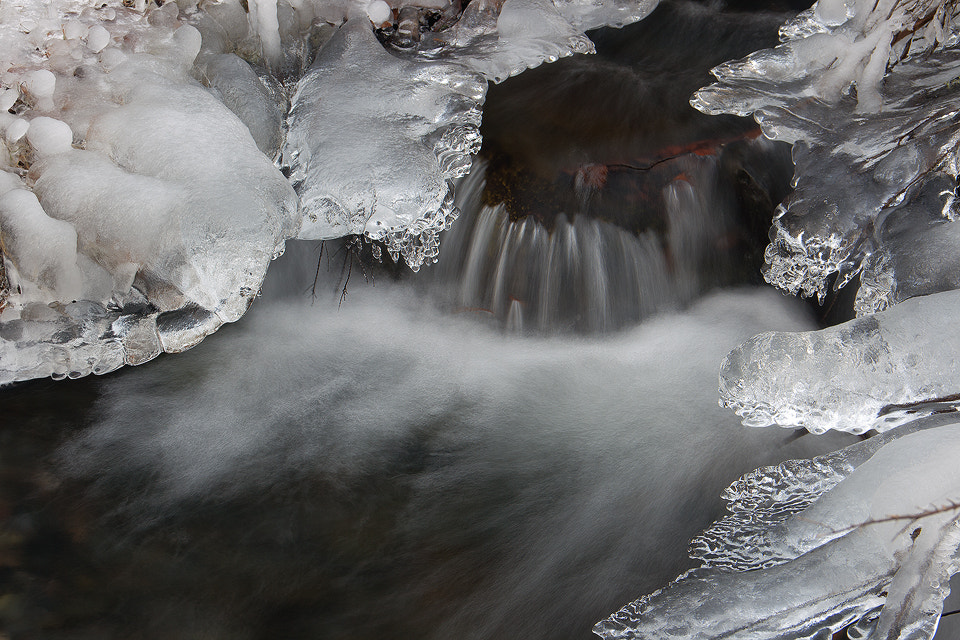 Sigma 18-125mm F3.8-5.6 DC OS HSM sample photo. Rincones photography