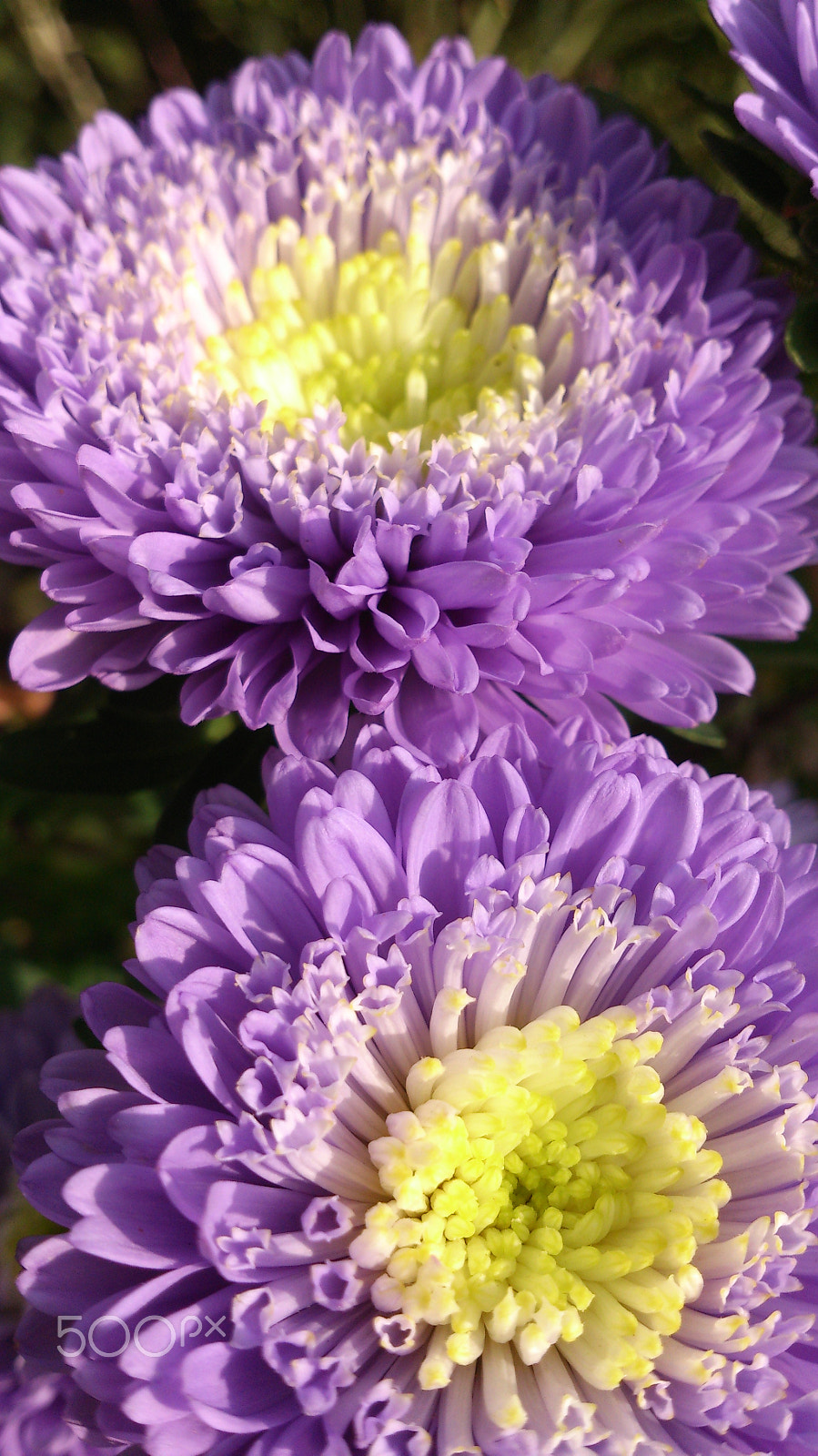 Sony Xperia T sample photo. Untitled photography