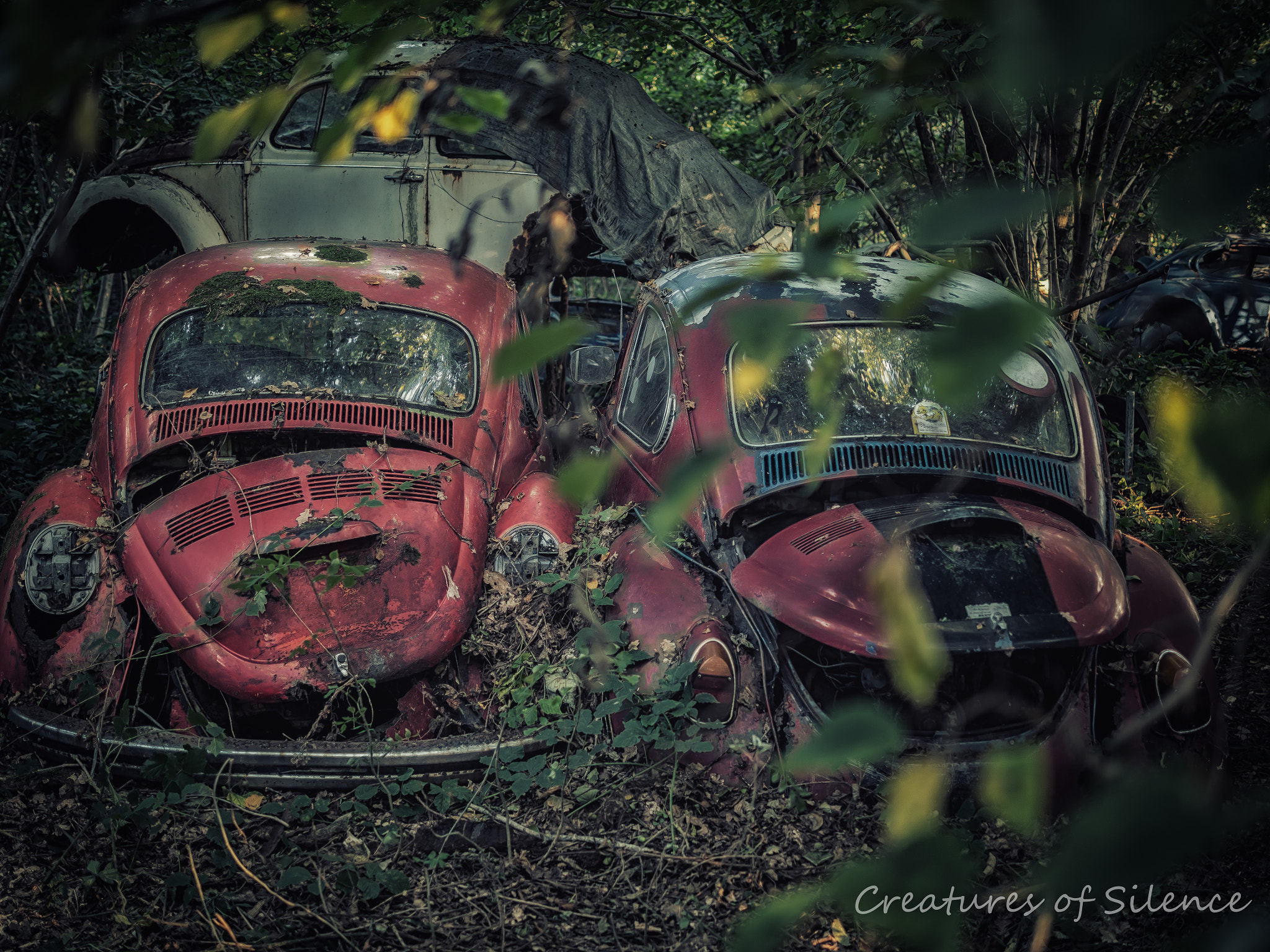 Panasonic Lumix DMC-GH3 + Panasonic Leica DG Summilux 25mm F1.4 II ASPH sample photo. Endless love photography