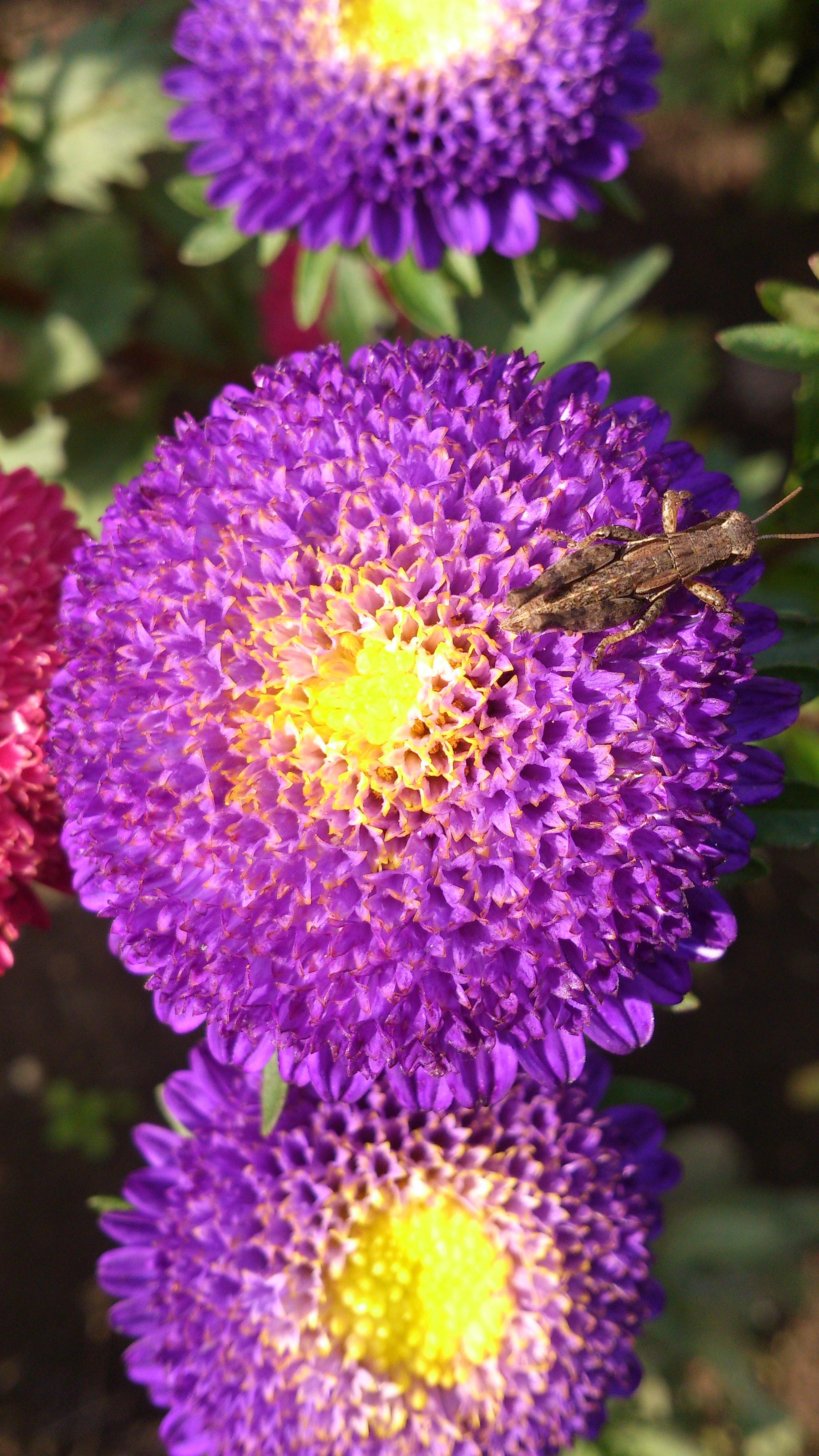 Sony Xperia T sample photo. Moment of peace photography