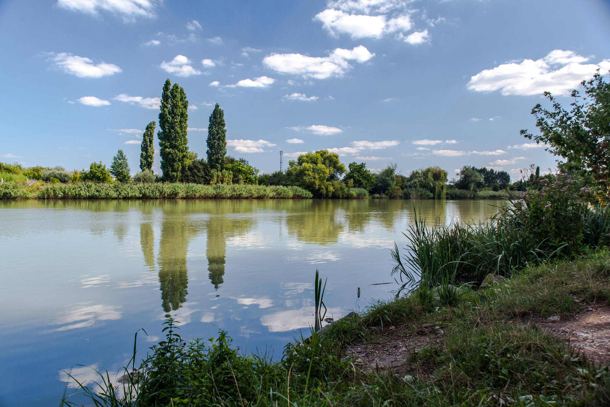 Canon EF 28-105mm f/3.5-4.5 USM sample photo. Little danube park photography