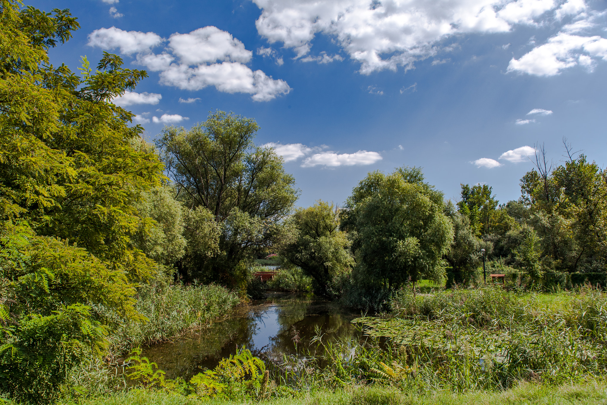 Canon EF 28-105mm f/3.5-4.5 USM sample photo. Little danube park photography