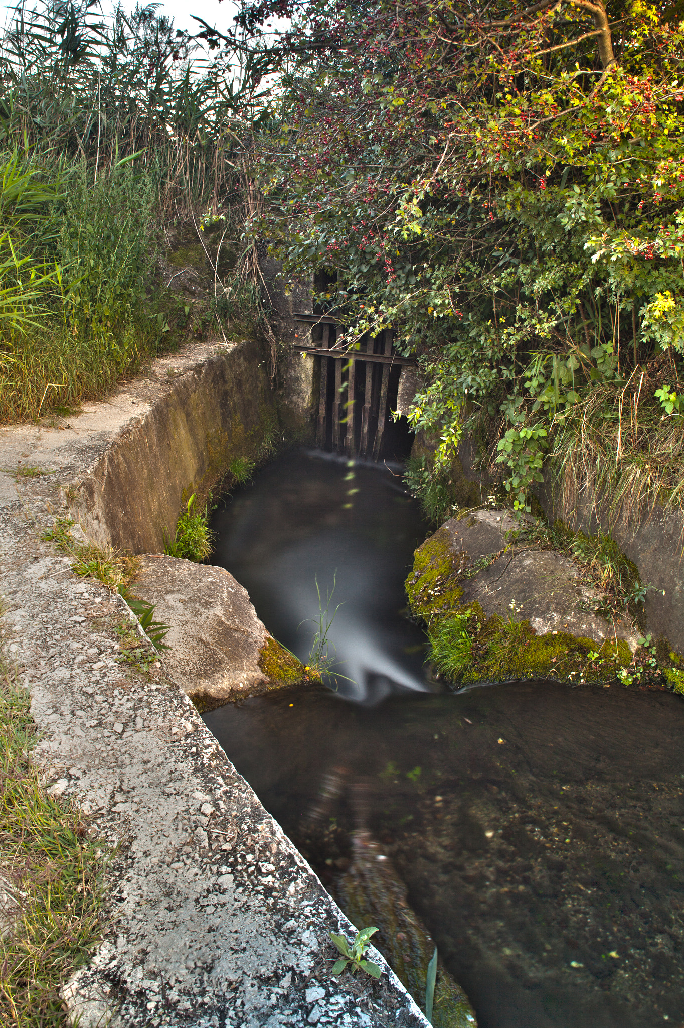 Canon EF 28-105mm f/3.5-4.5 USM sample photo. Small creek photography