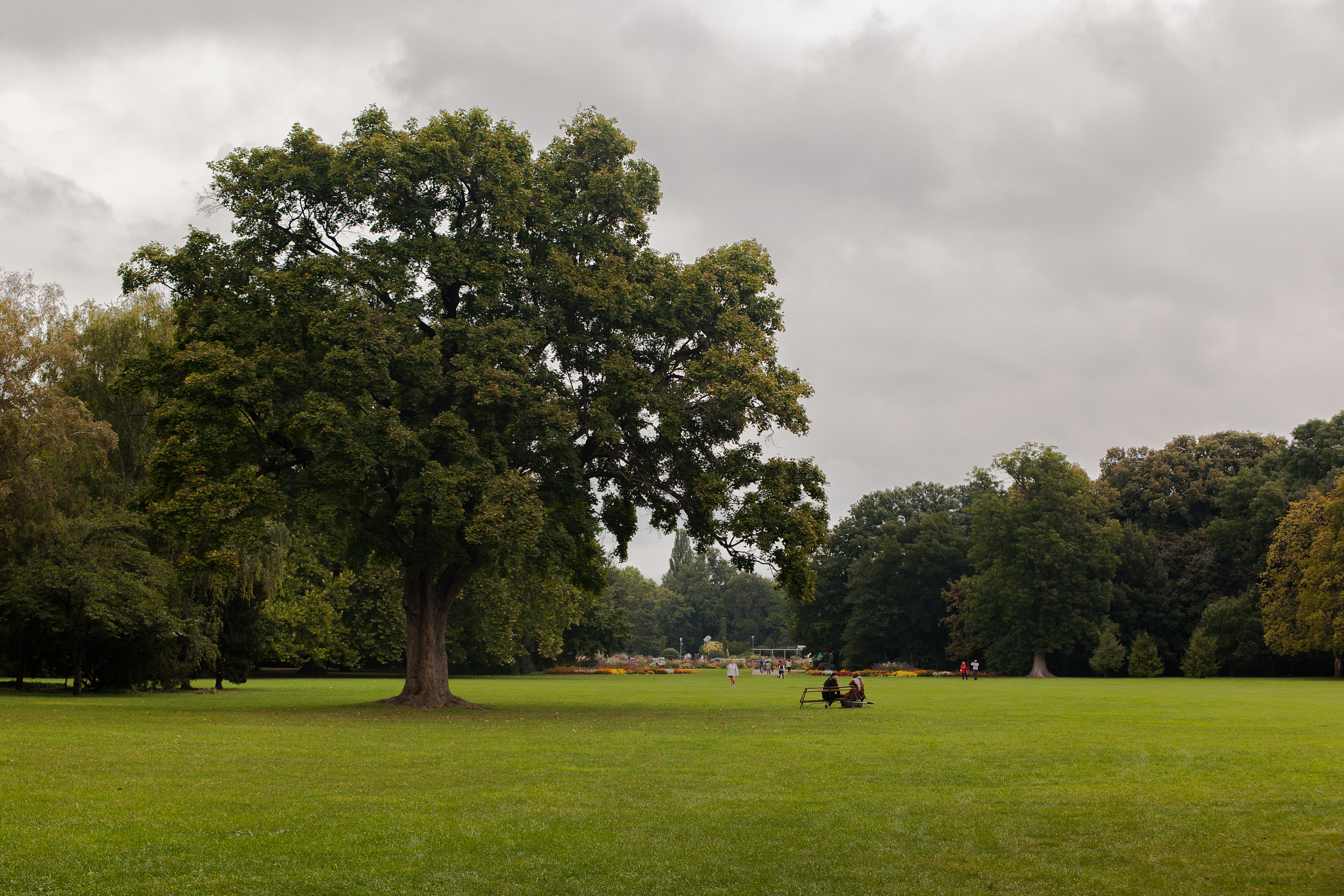 Canon EF 28-105mm f/3.5-4.5 USM sample photo. Margit-sziget photography