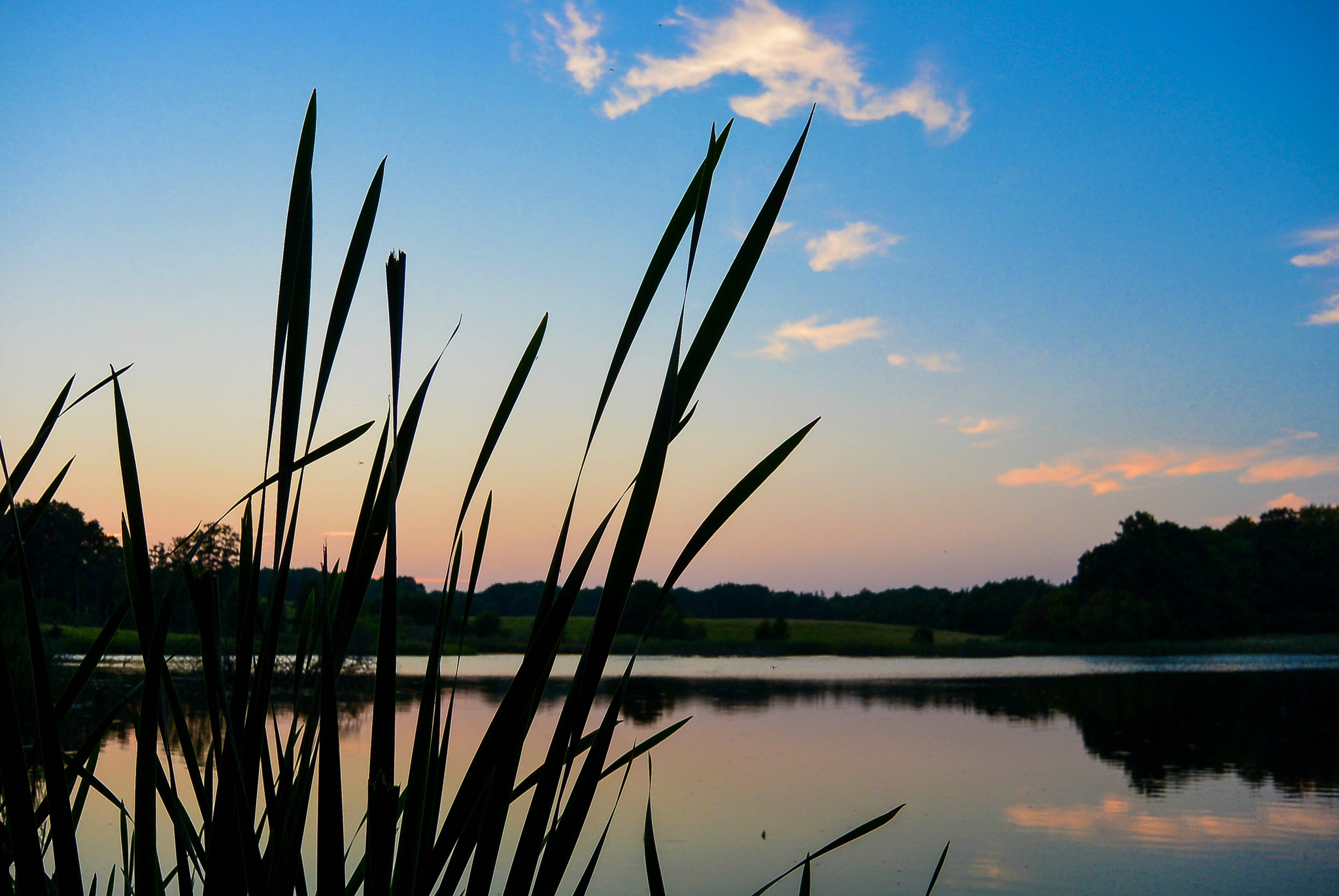 Nikon 1 Nikkor 11-27.5mm F3.5-5.6 sample photo. The sunset photography