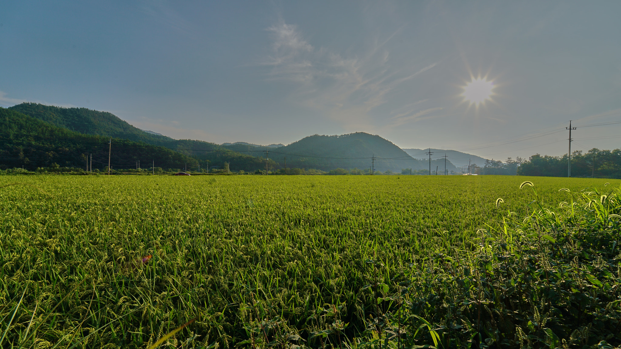 Sony a7R II + Samyang AF 14mm F2.8 FE sample photo. Dsc photography