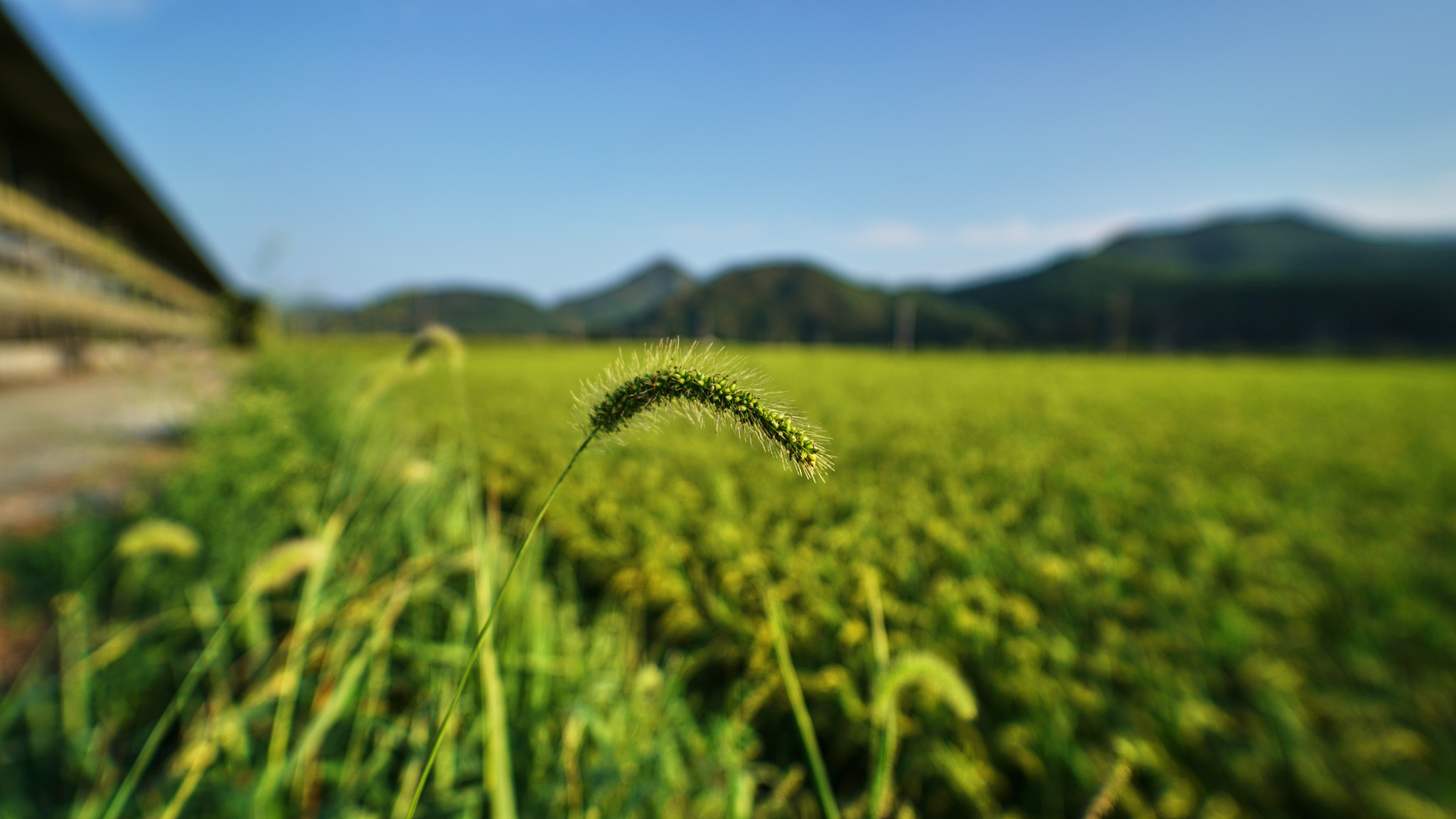 Sony a7R II + Samyang AF 14mm F2.8 FE sample photo. Dsc photography