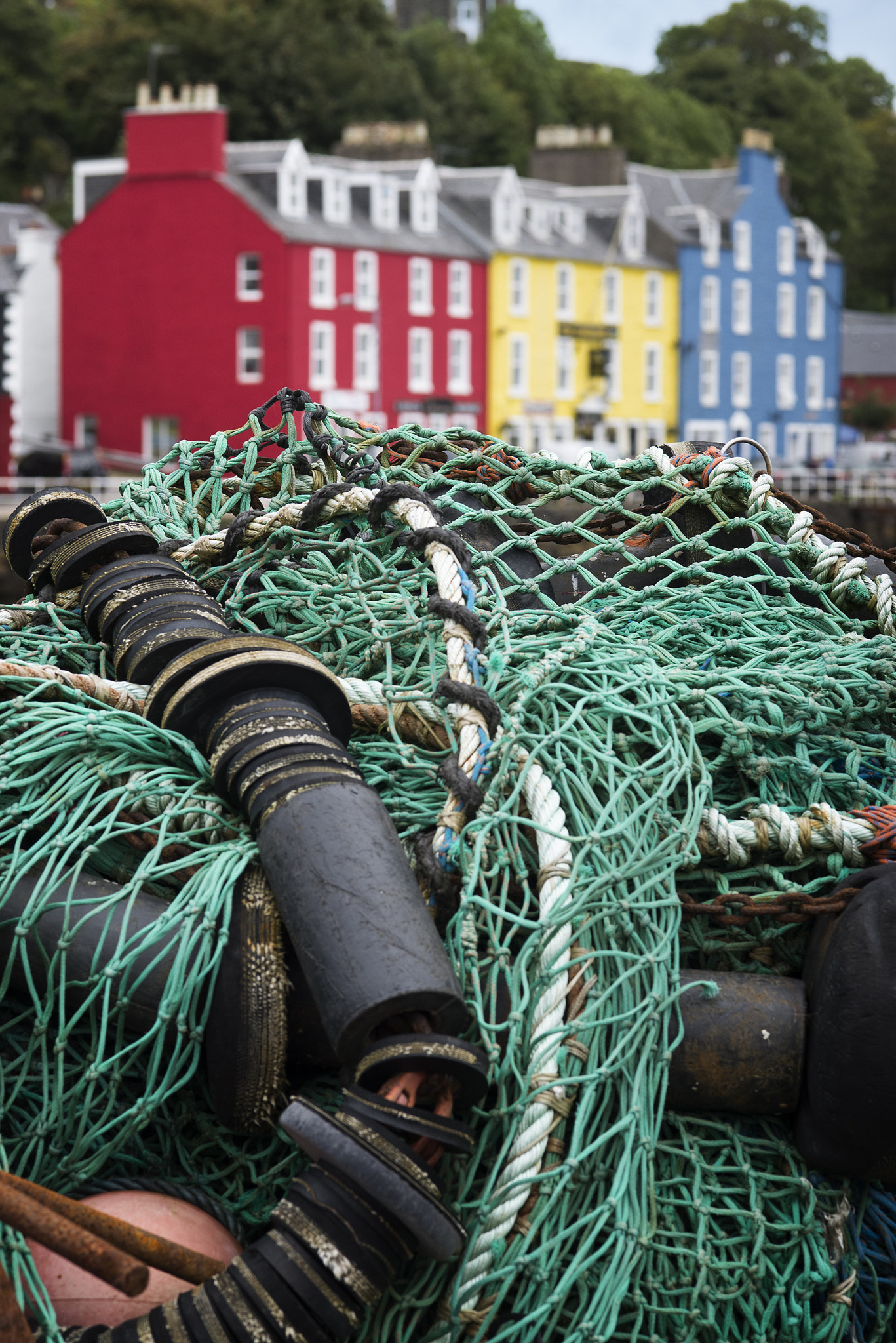 ZEISS Makro-Planar T* 100mm F2 sample photo. Tobermory photography