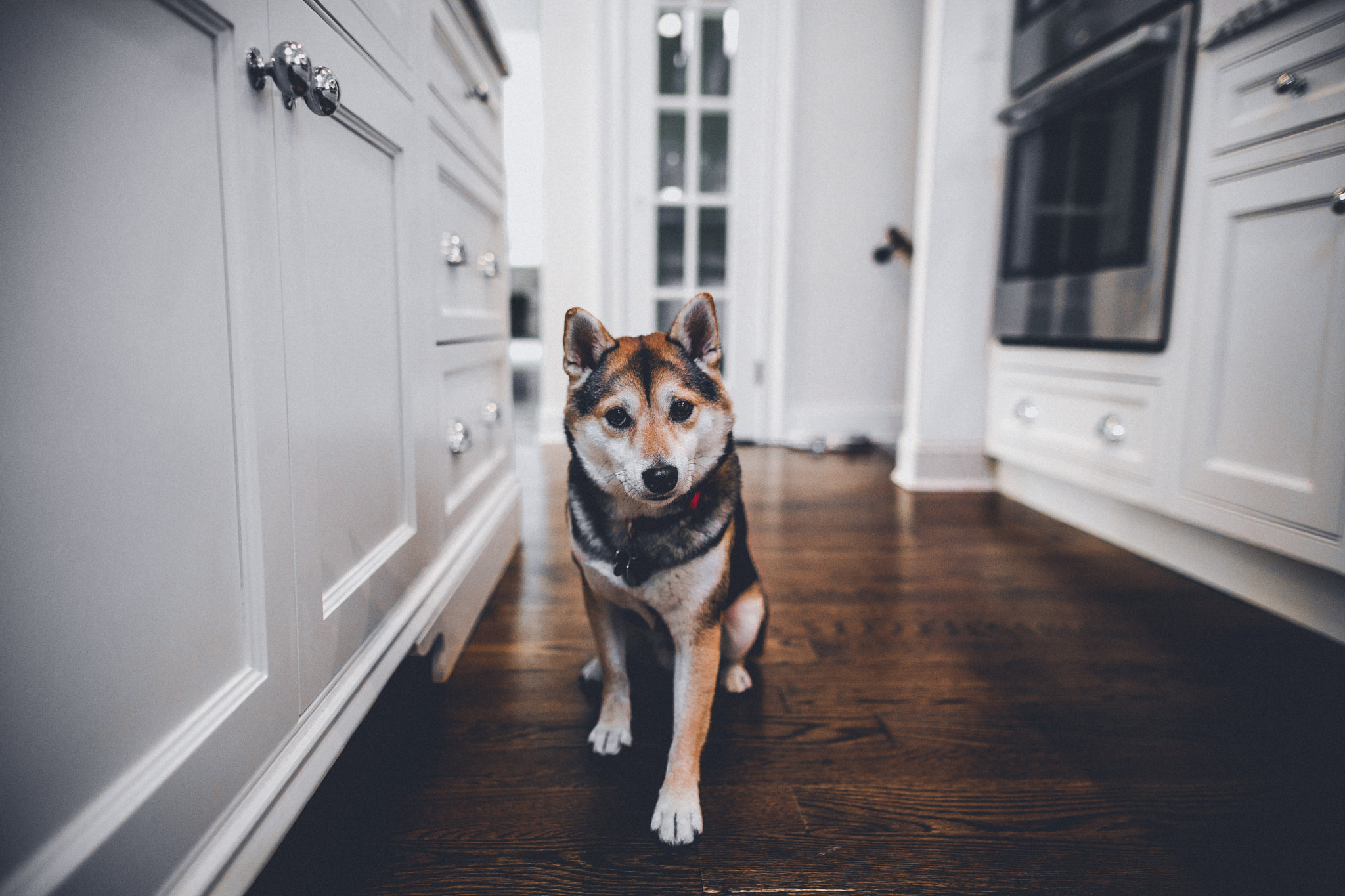 Sigma 24mm F1.4 DG HSM Art sample photo. Tico photography