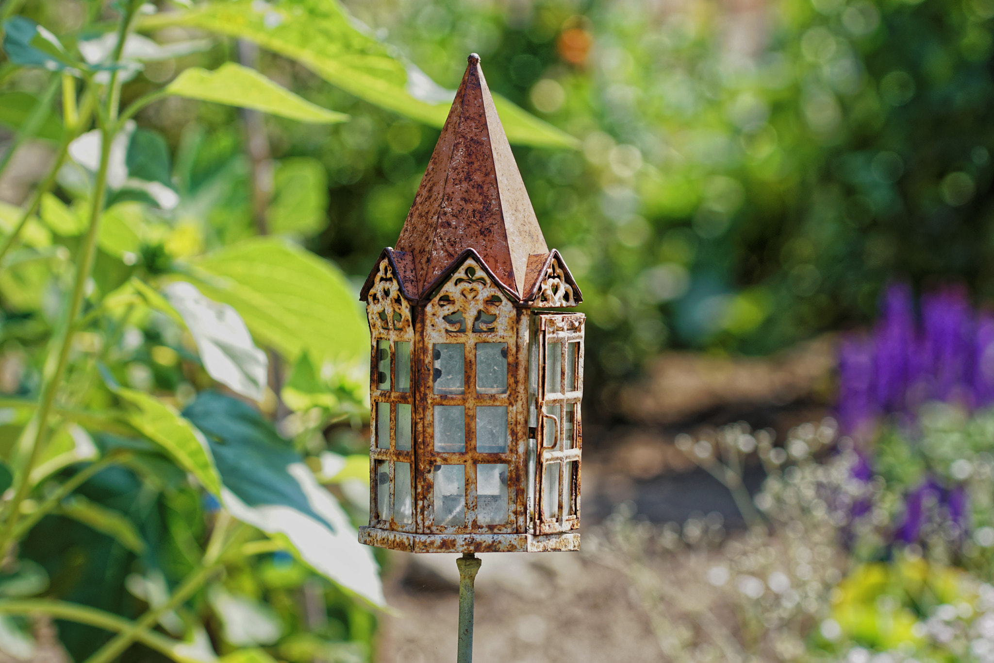 Sony ILCA-77M2 + 90mm F2.8 Macro SSM sample photo. Dxo photography