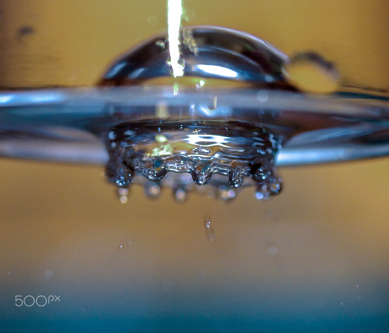Canon EF-S 60mm F2.8 Macro USM sample photo. Beyond gravity photography