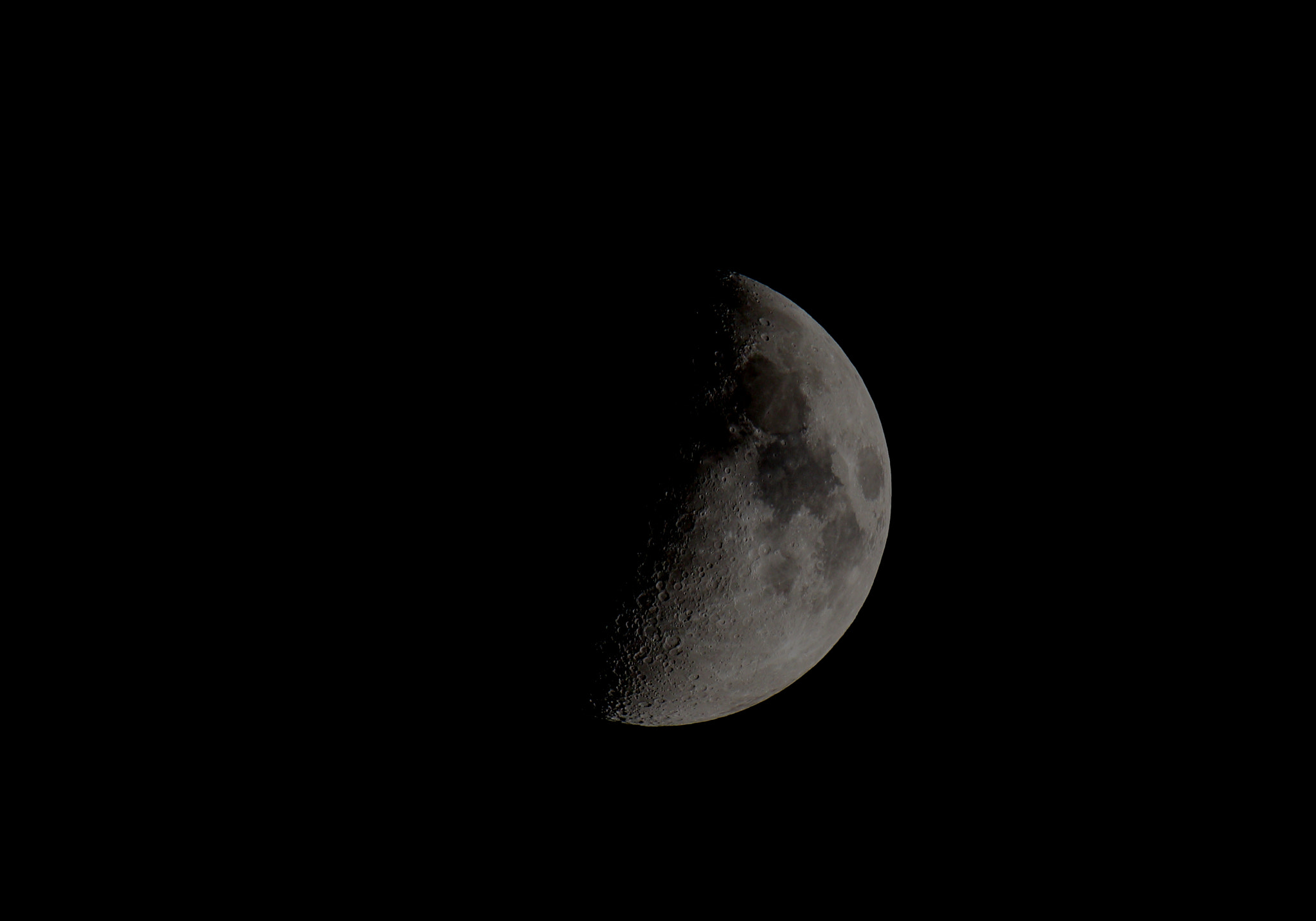Sigma 150-600mm F5-6.3 DG OS HSM | S sample photo. Dreamworks photography