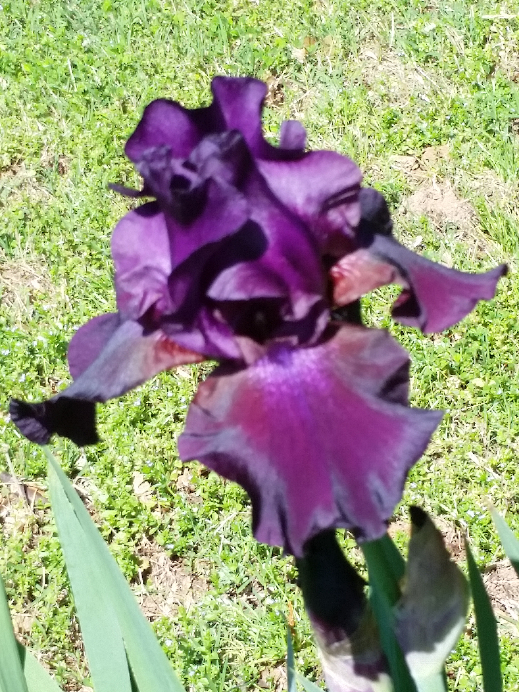 Samsung Galaxy S5 Active sample photo