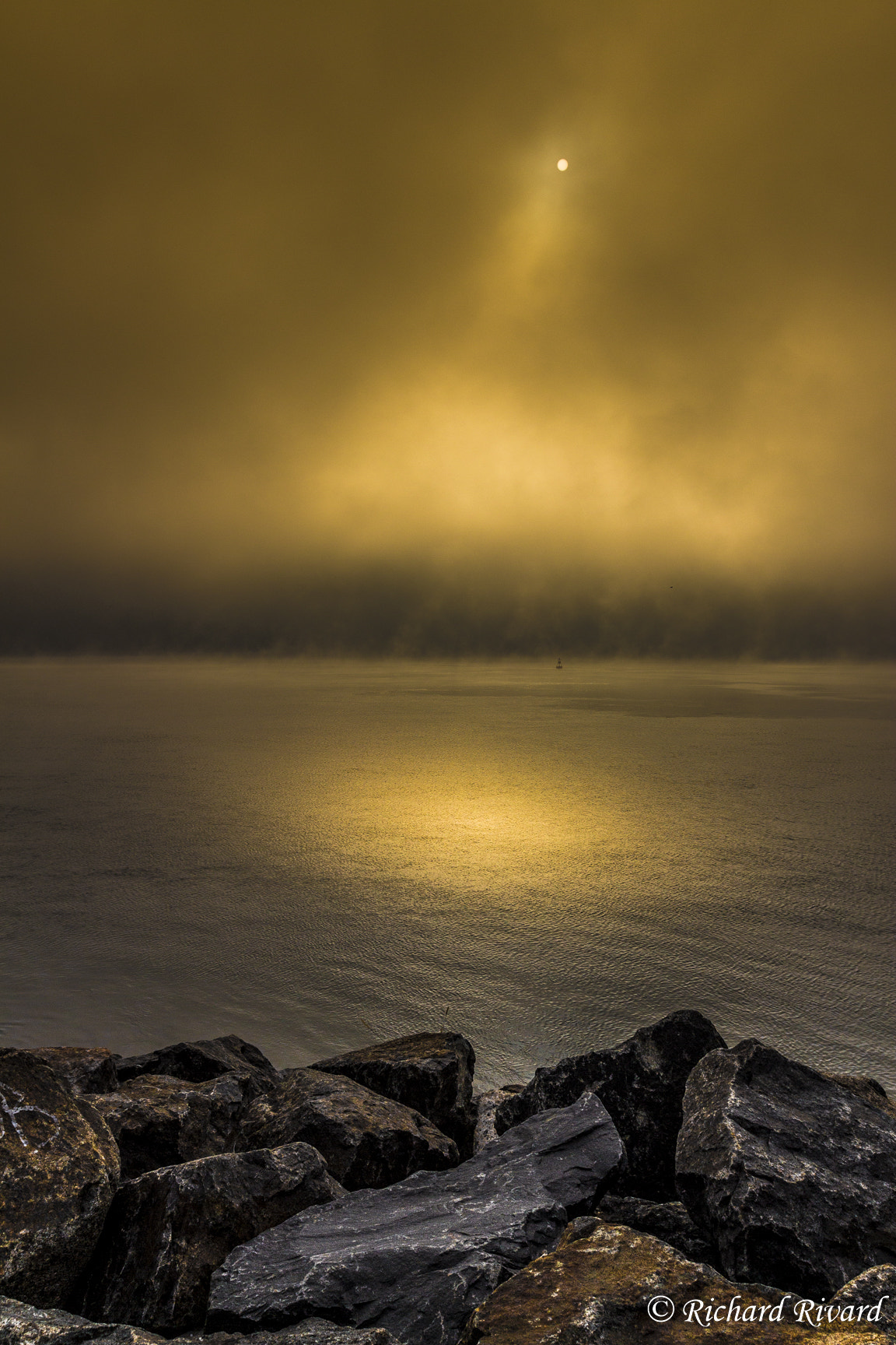 Canon EF 16-35mm F2.8L II USM sample photo. Golden sunlight photography
