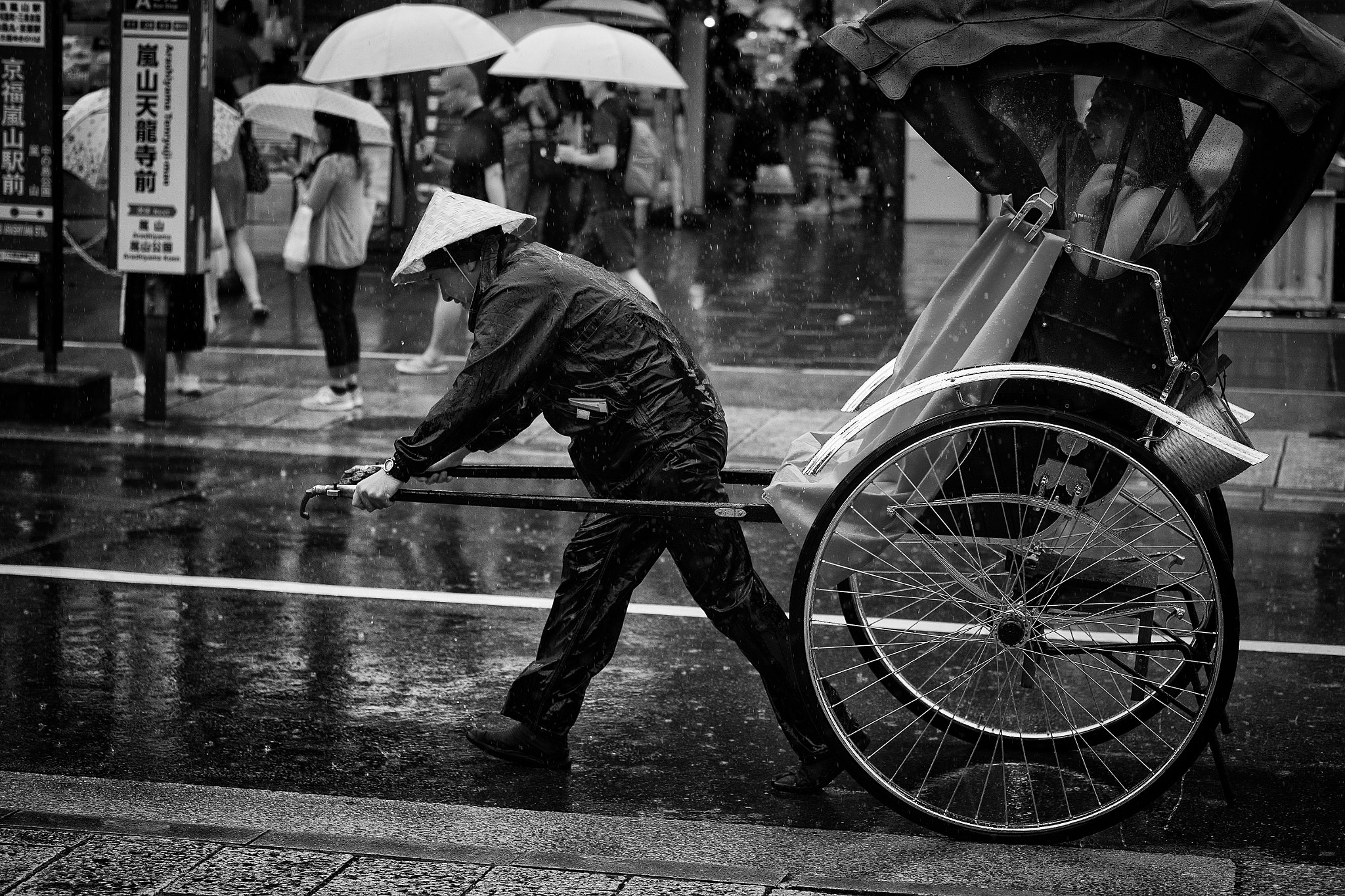 Fujifilm X-E1 + Fujifilm XF 60mm F2.4 R Macro sample photo. Alone against the typhoon photography