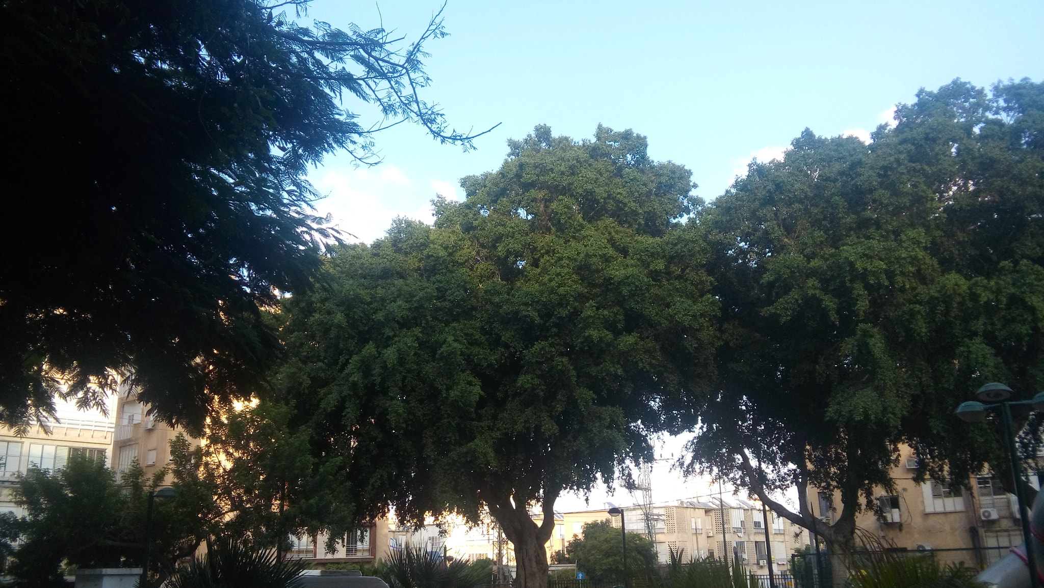 LG LBello sample photo