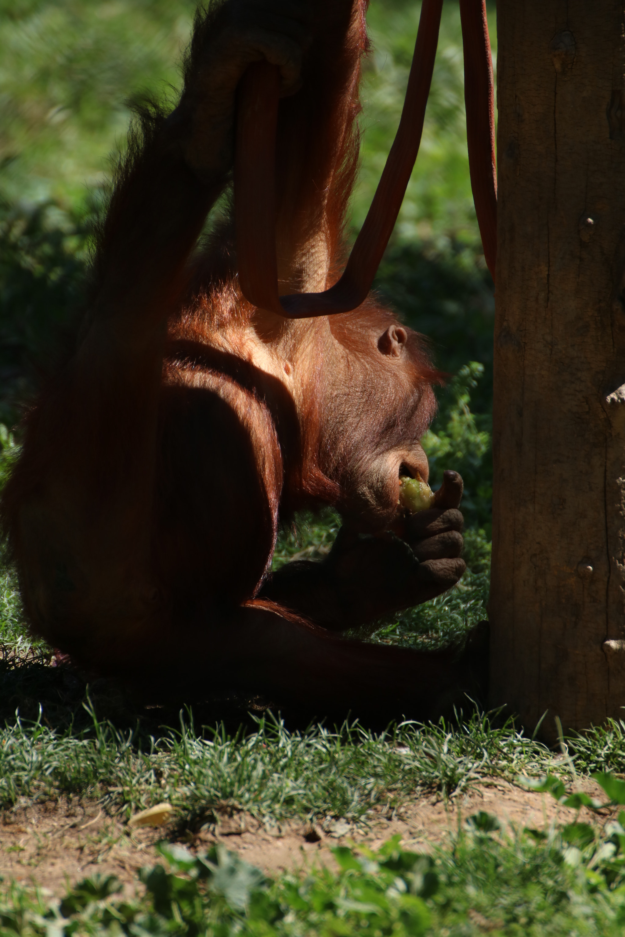 Canon EOS 750D (EOS Rebel T6i / EOS Kiss X8i) sample photo. Hang on there photography