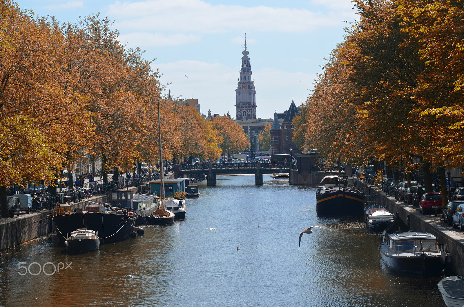 Nikon D7000 + Sigma 18-125mm F3.8-5.6 DC HSM sample photo. Waterway photography