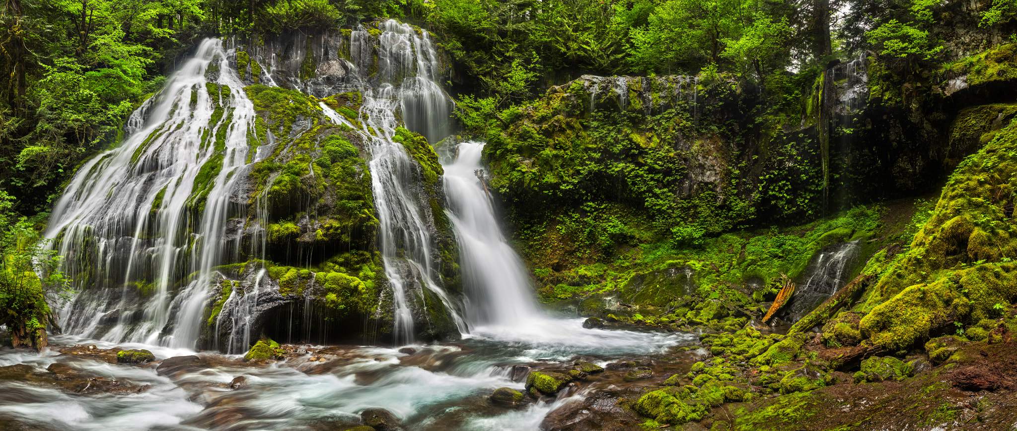 Canon EF 24mm F1.4L II USM sample photo. Panther creek photography