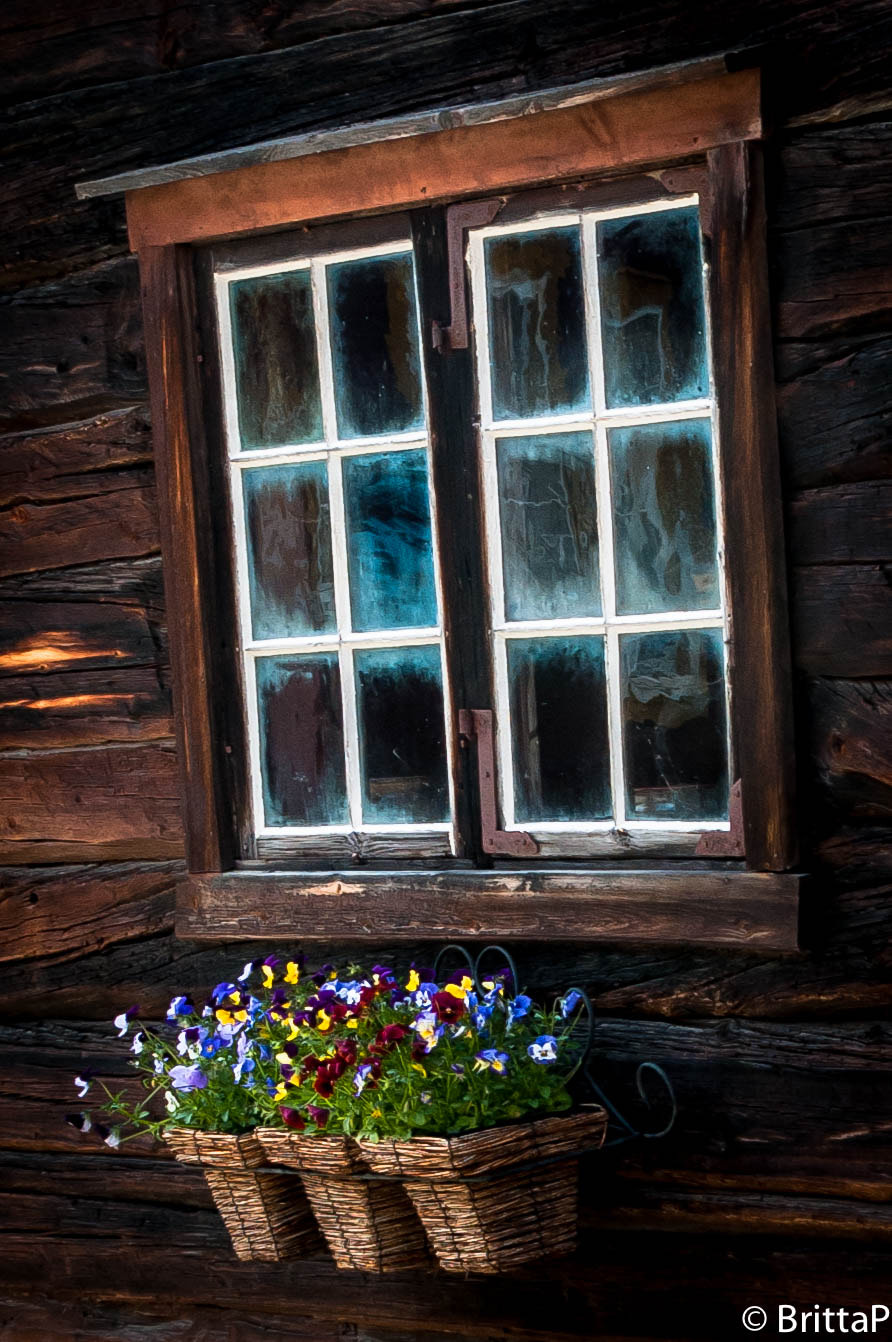 Nikon D300S sample photo. The window photography