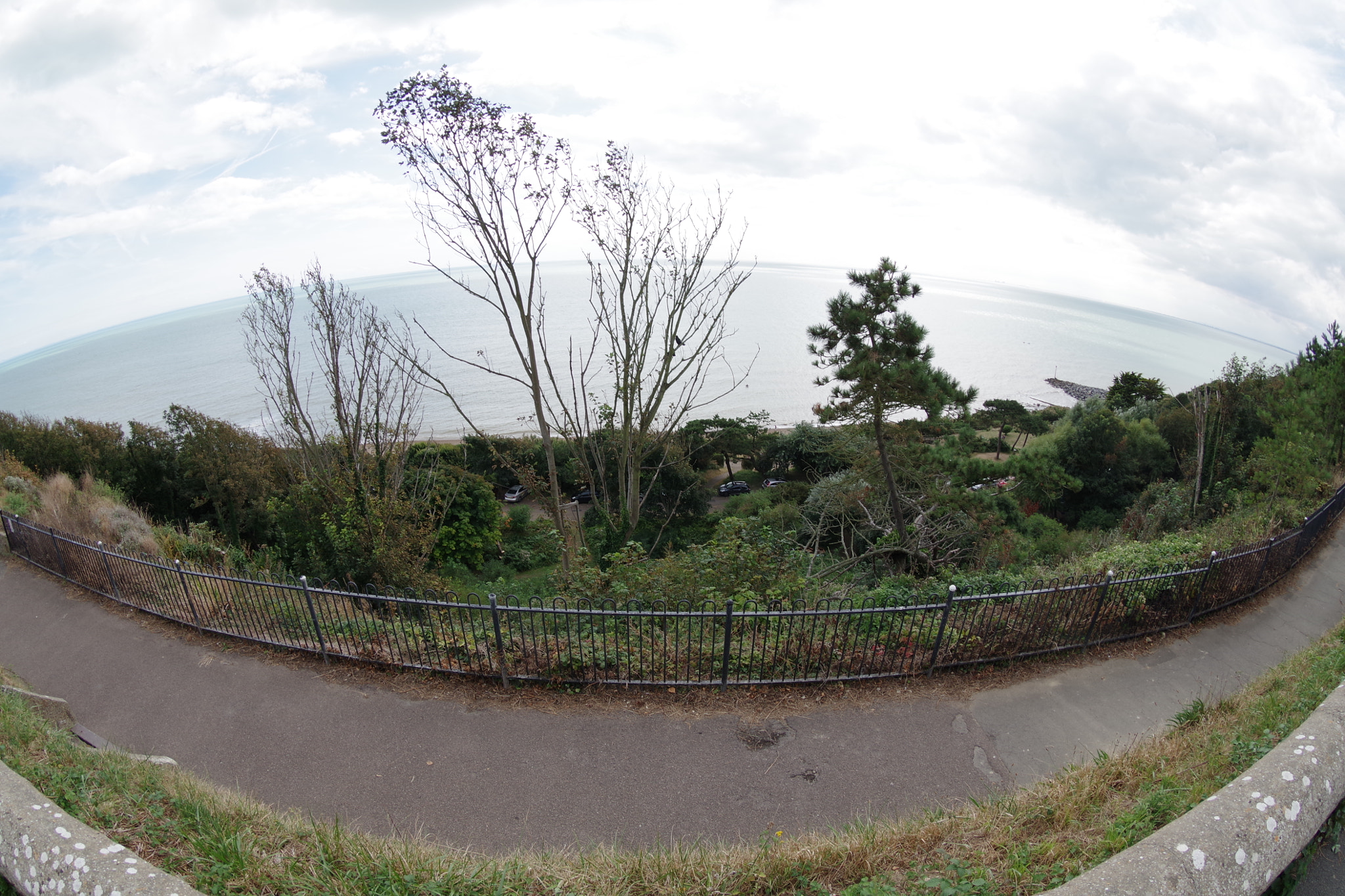 Pentax K-S2 sample photo. The leas photography