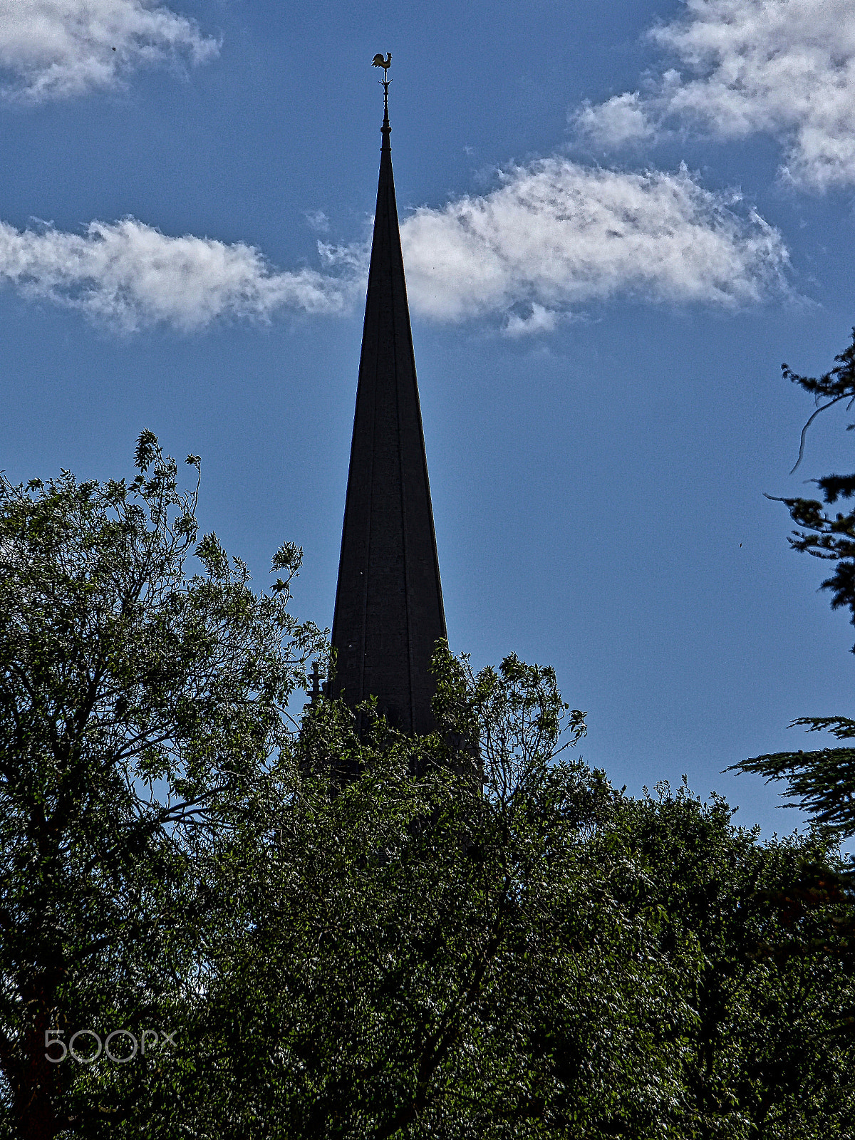 Sony FE 24-240mm F3.5-6.3 OSS sample photo. Cambridge - thursday september 8th. photography