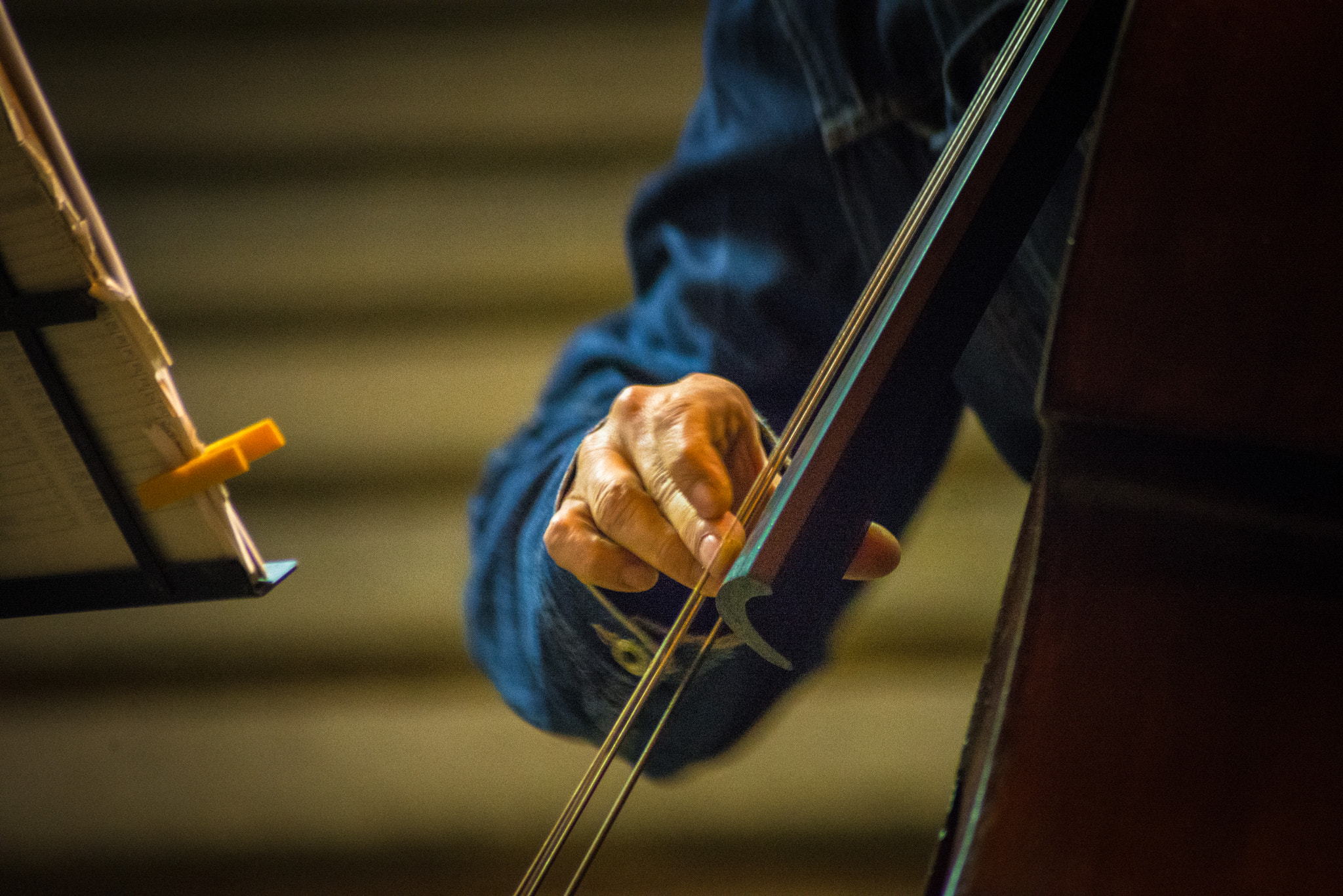 Nikon D600 sample photo. Jazz photography