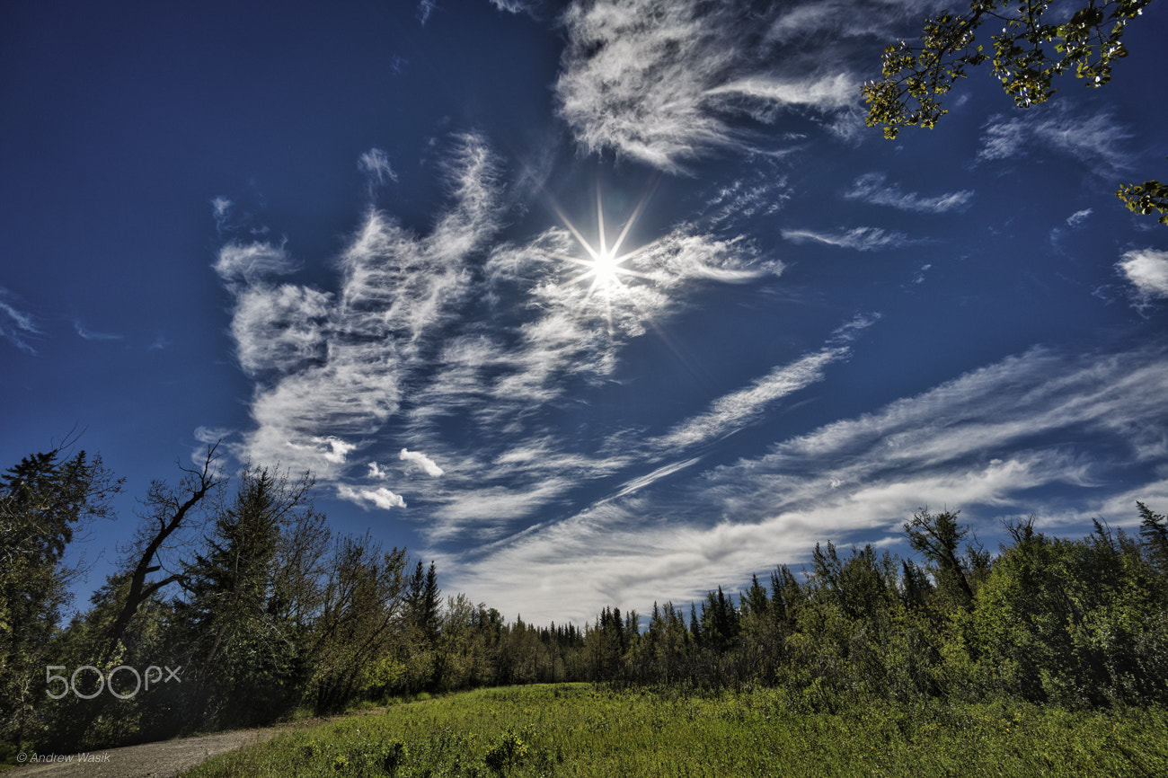 Sony a7R II + Voigtlander SUPER WIDE-HELIAR 15mm F4.5 III sample photo. Fish creek sky photography
