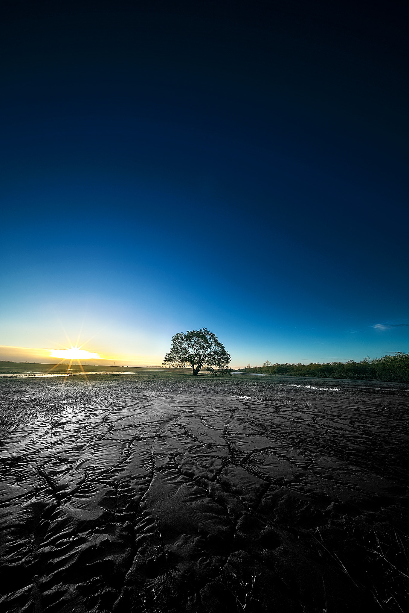 E 10mm F5.6 sample photo. I surrender photography