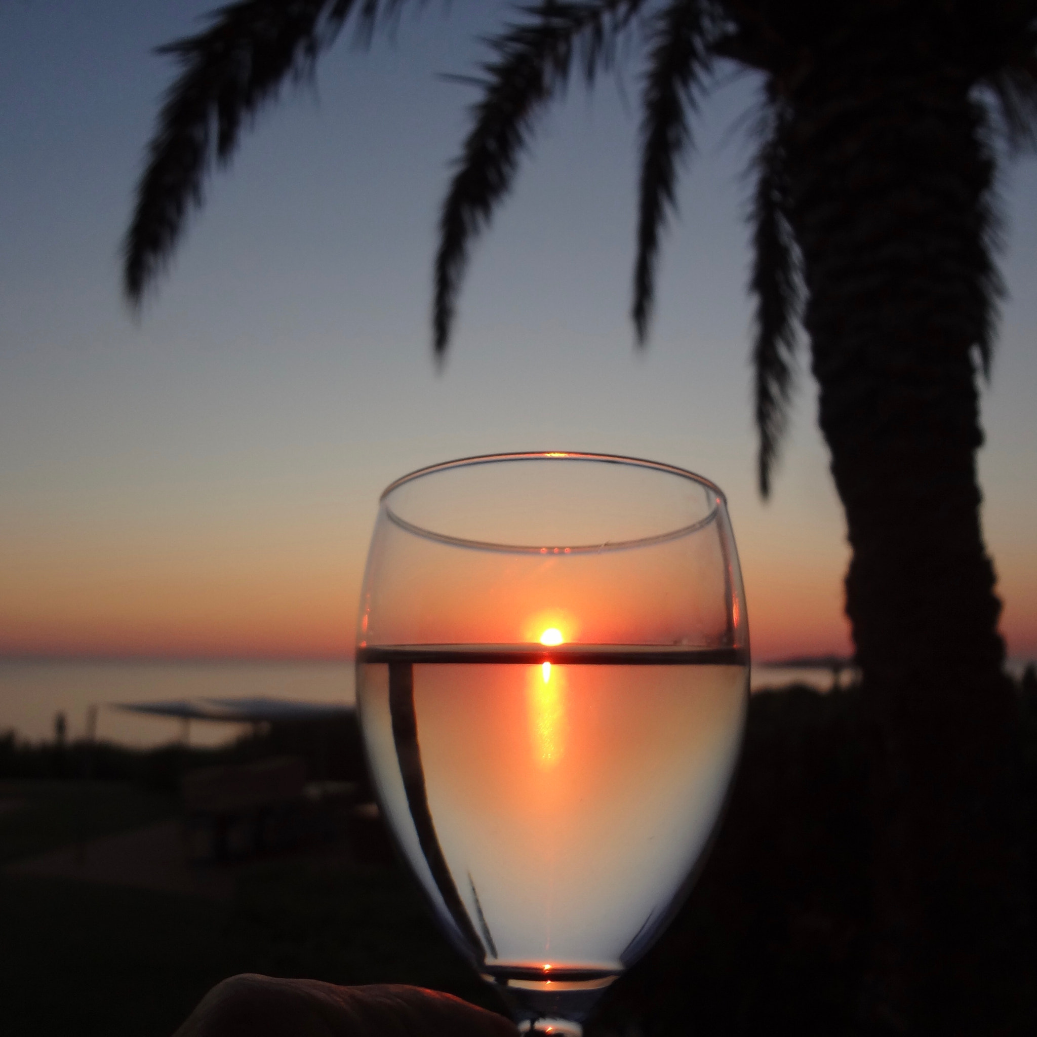 Sony DSC-WX7 sample photo. Ibiza,palmiers,soleil,été photography