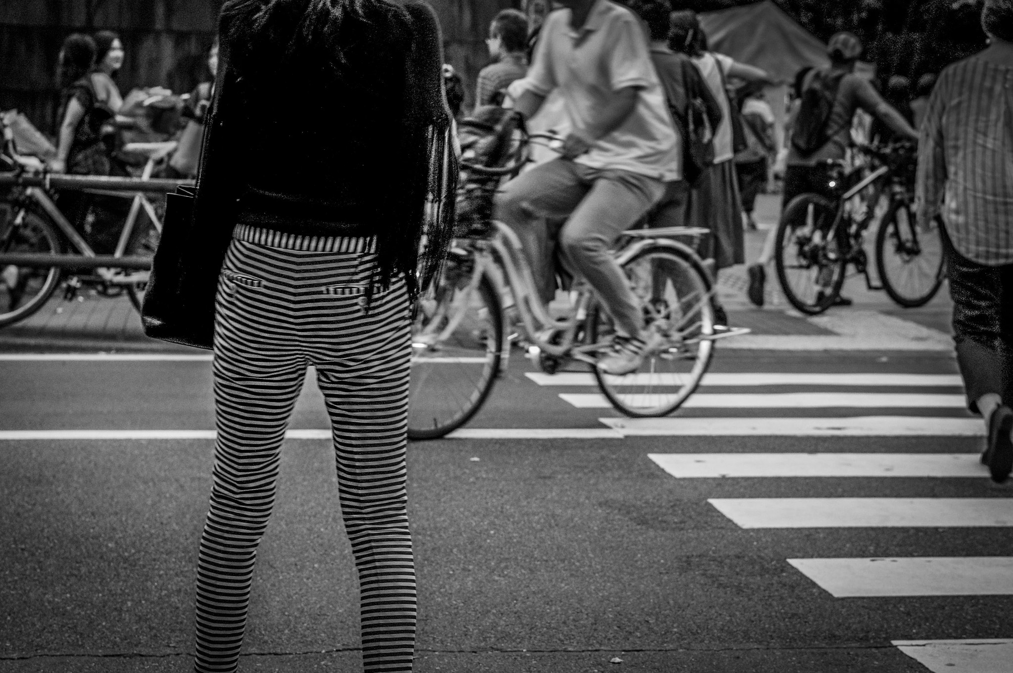 Sony Alpha NEX-5N + E 50mm F1.8 OSS sample photo. Zebra photography